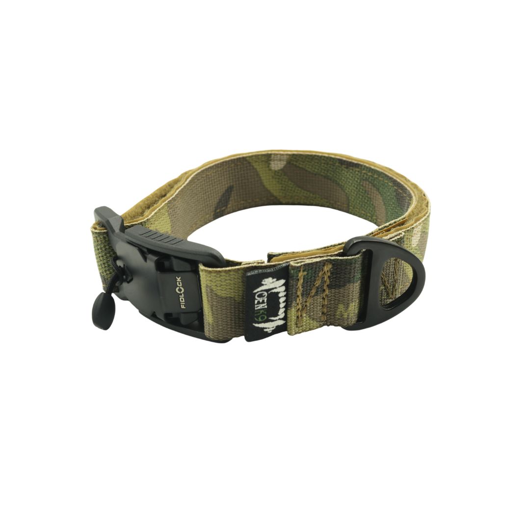 Collar Puppy 