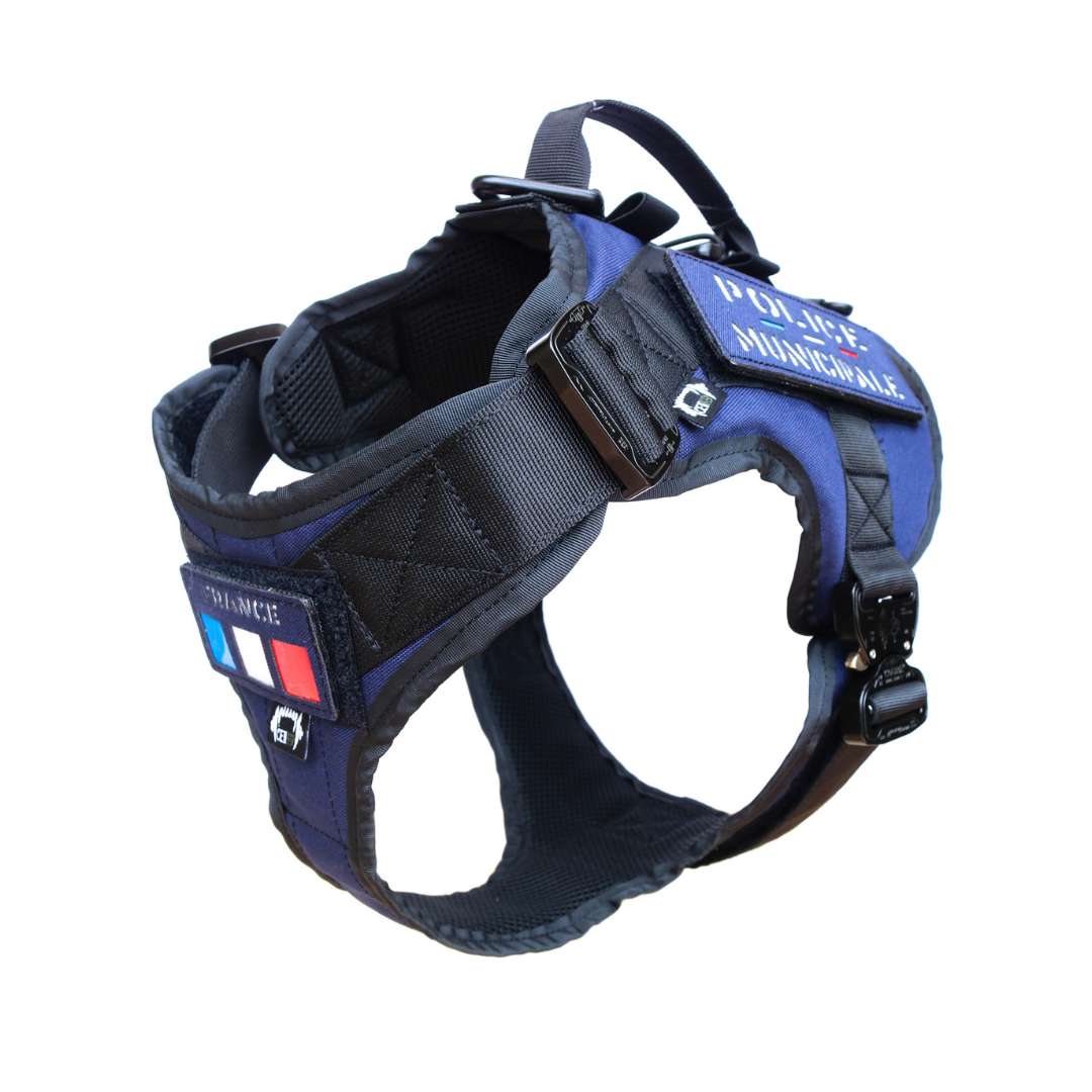 Tactical Harness Warrior Blue
