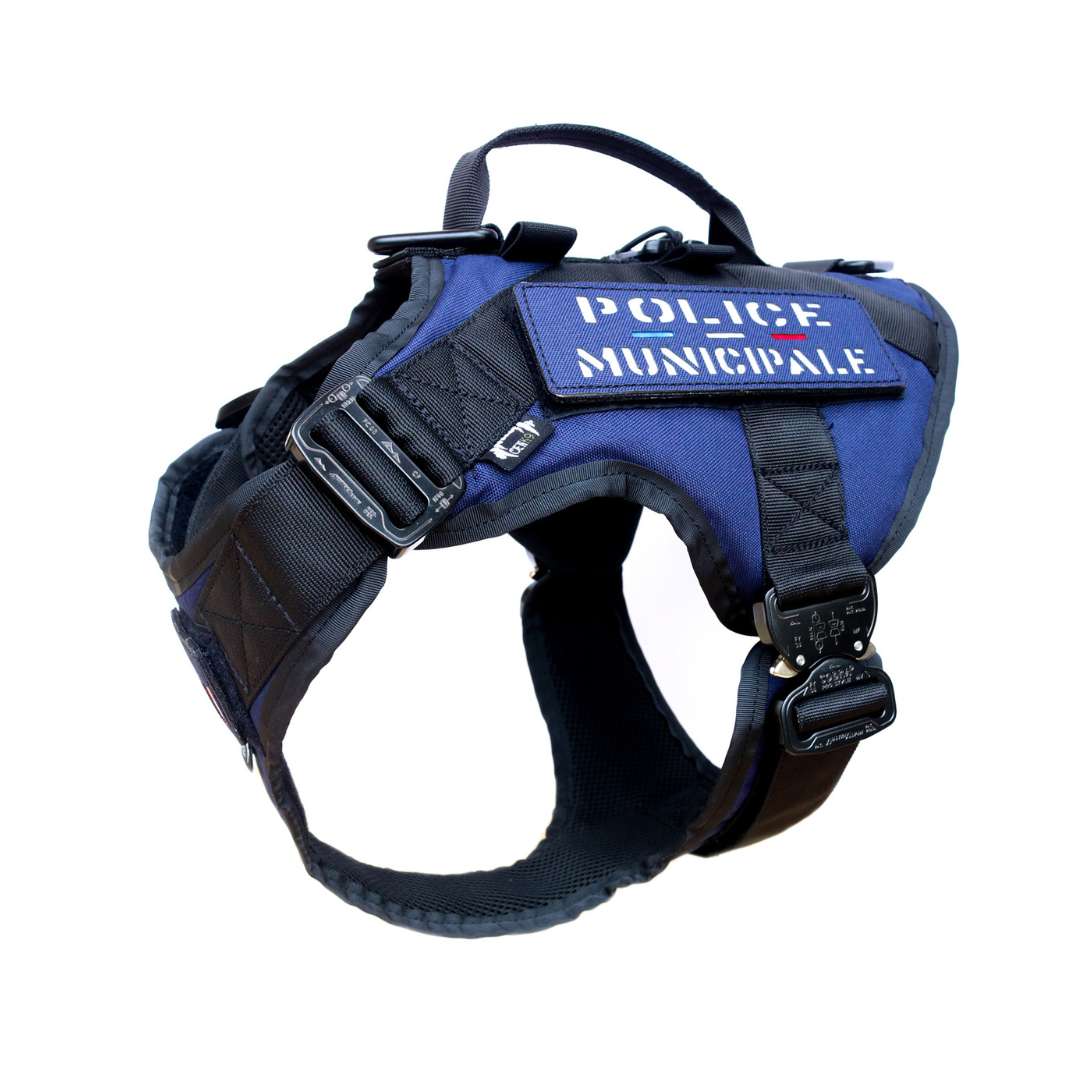 Tactical Harness Warrior Blue