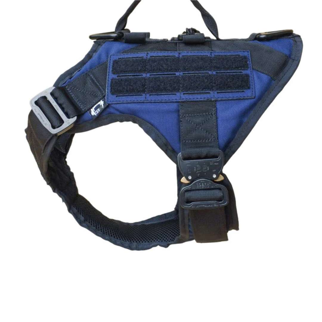 Tactical Harness Warrior Blue