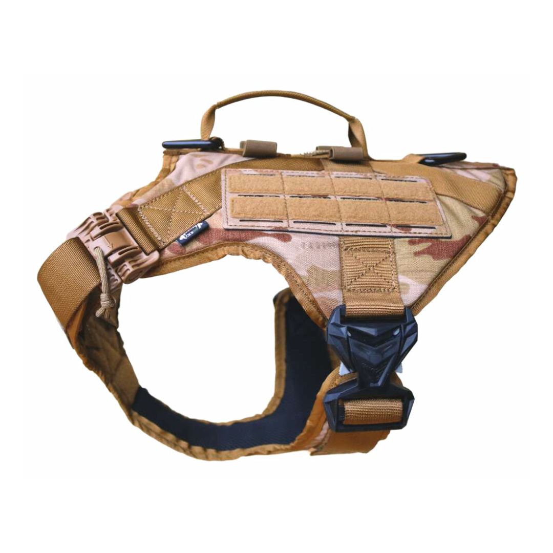 Praetorian Harness