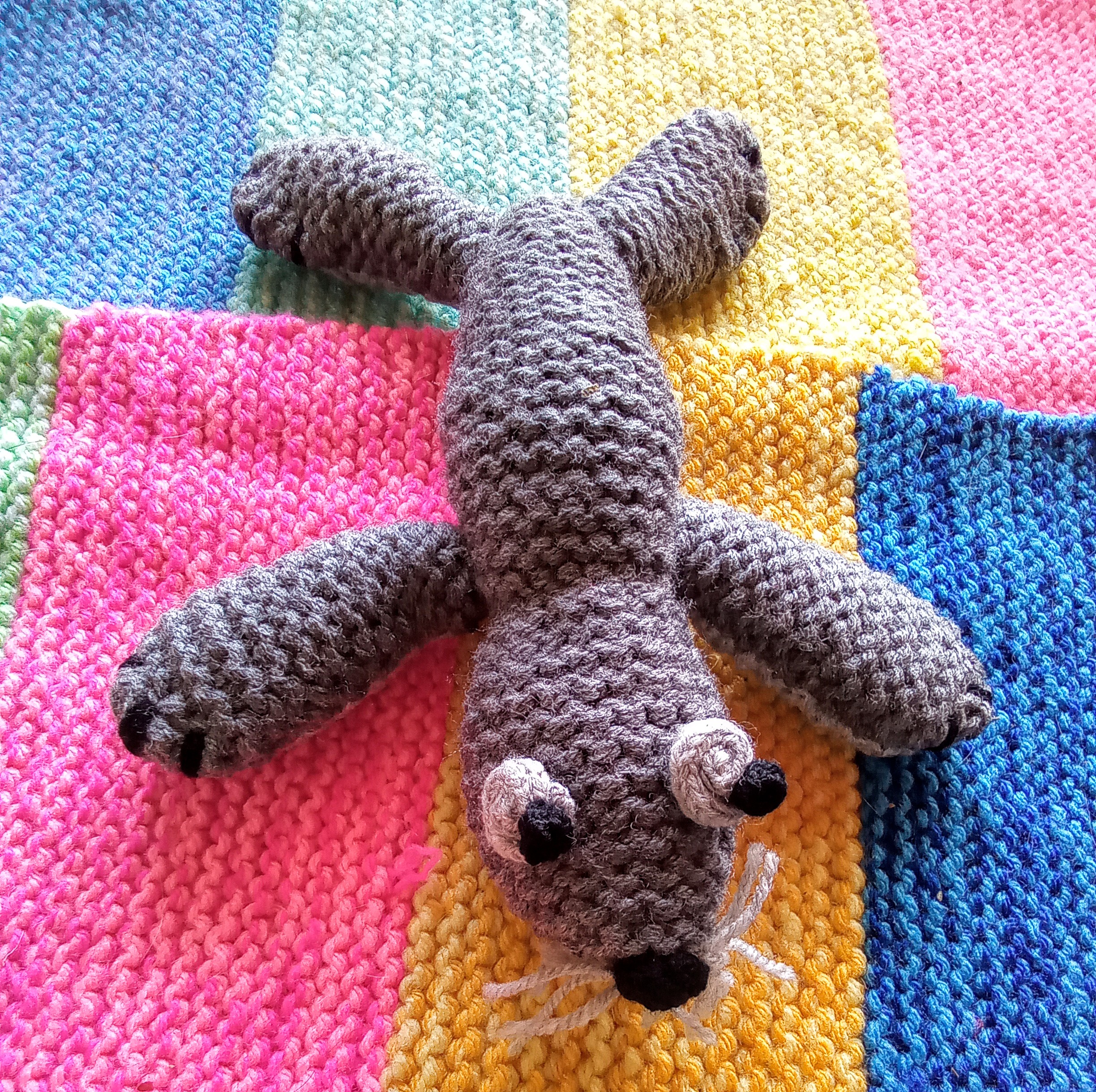 Mini zeehond
