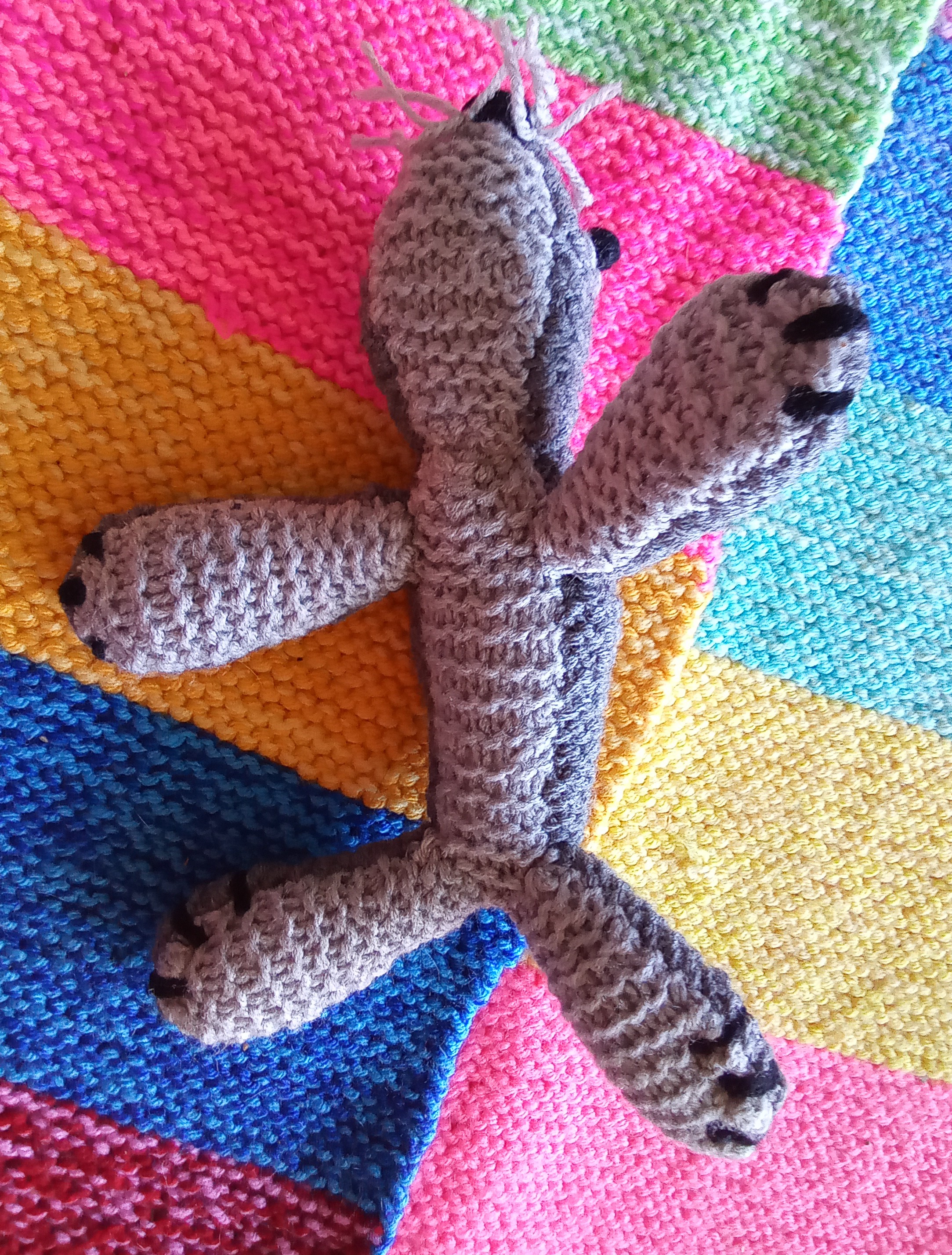 Mini zeehond