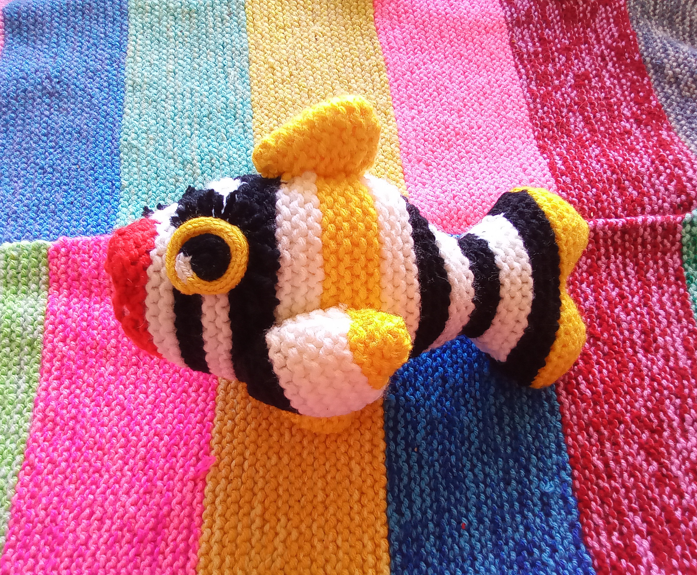 Small striped fish