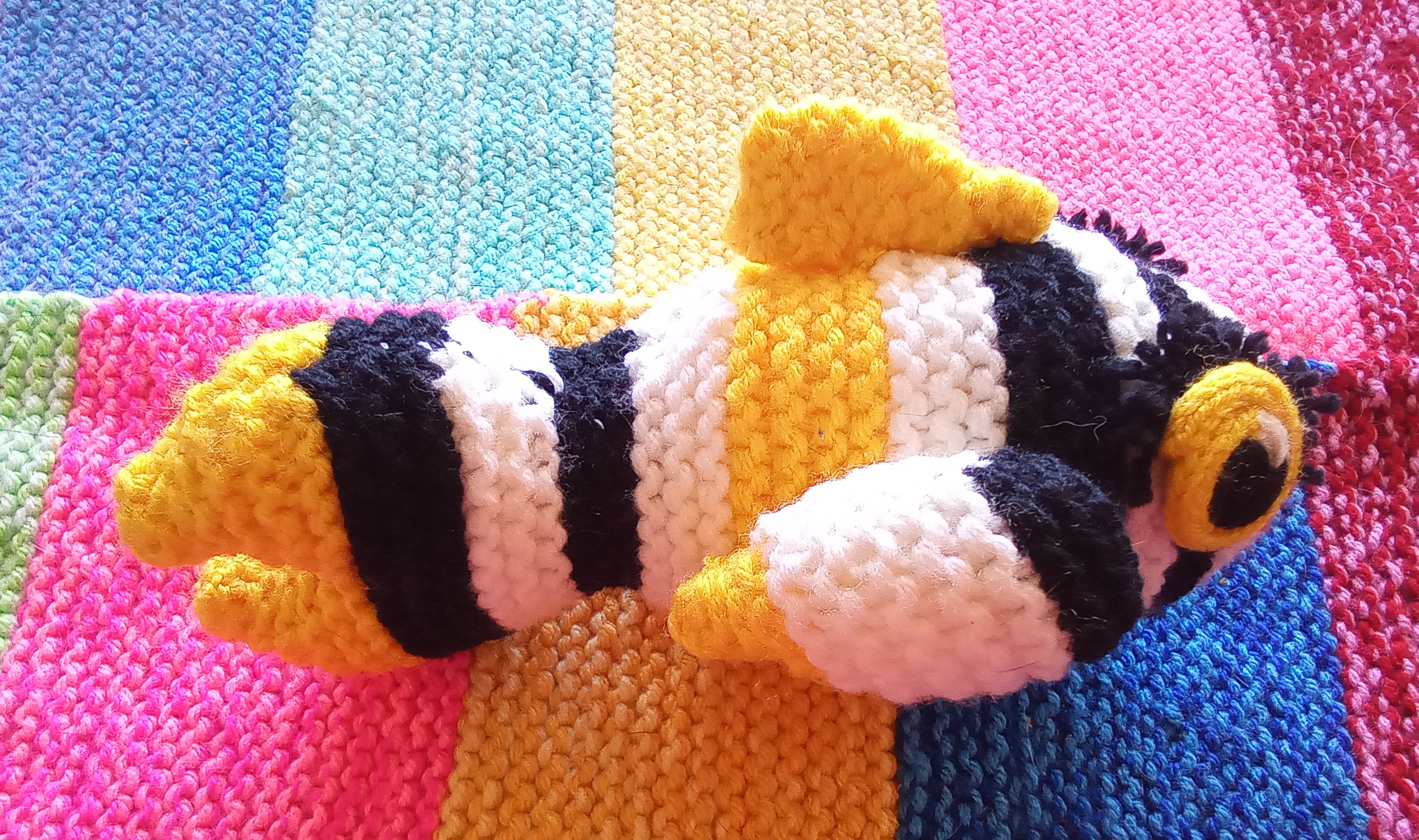 Small striped fish
