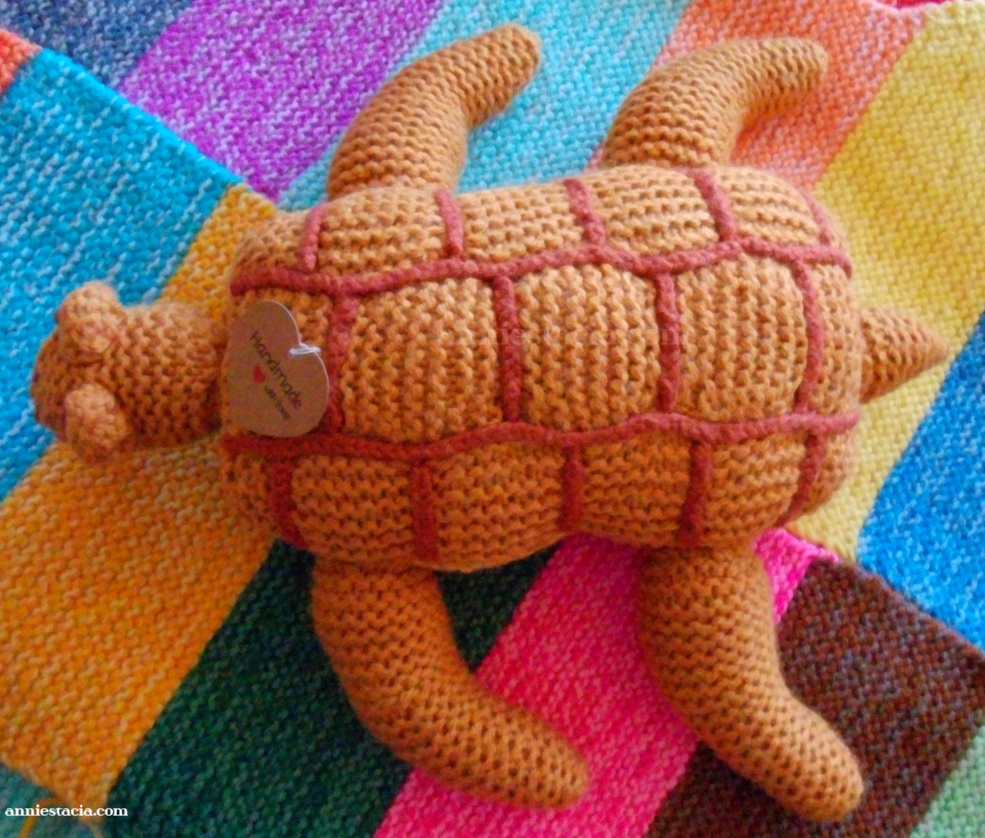 Betoverende schildpadknuffel!