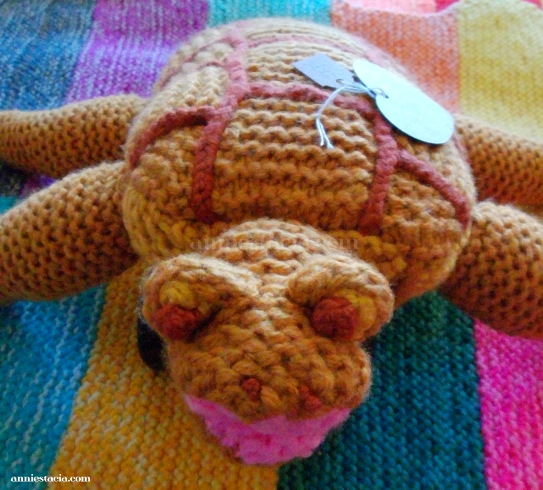 Betoverende schildpadknuffel!
