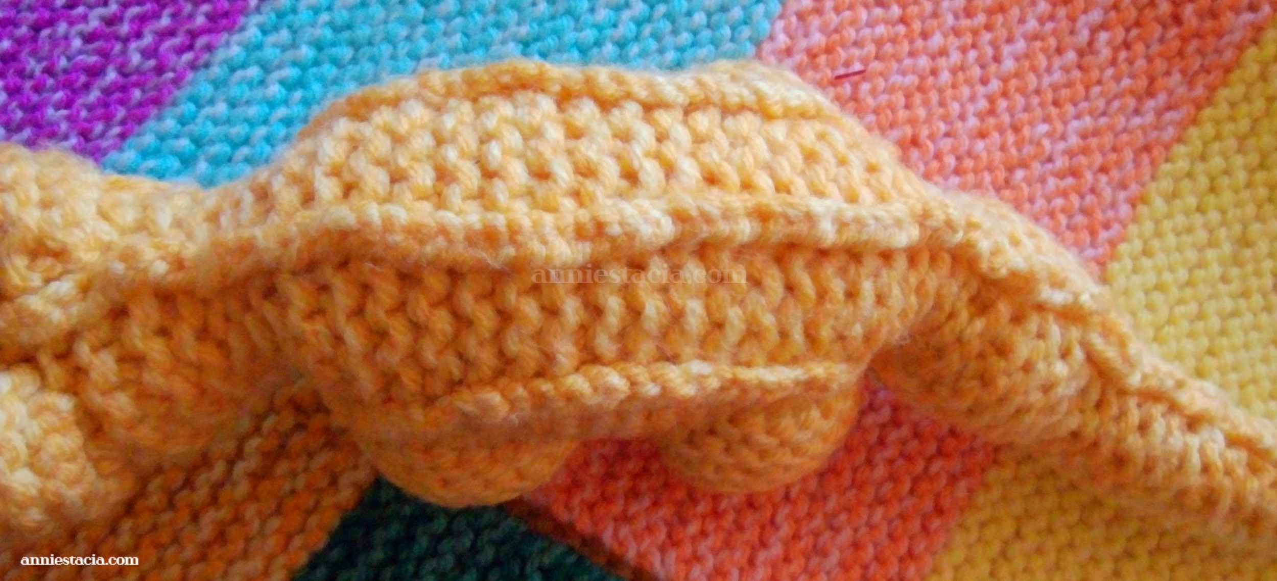 Unique yellow crocodile 