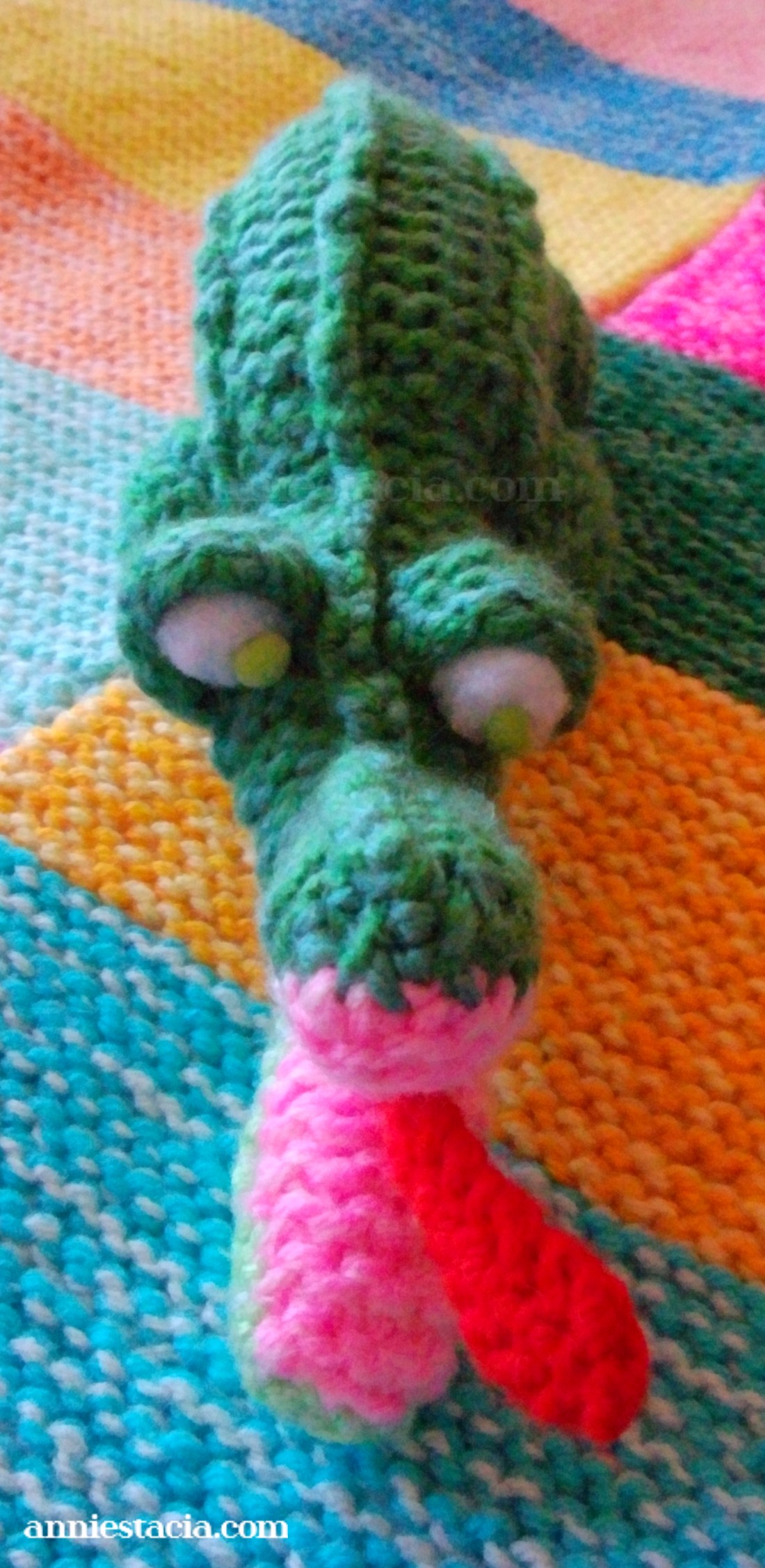 Small friendly crocodile