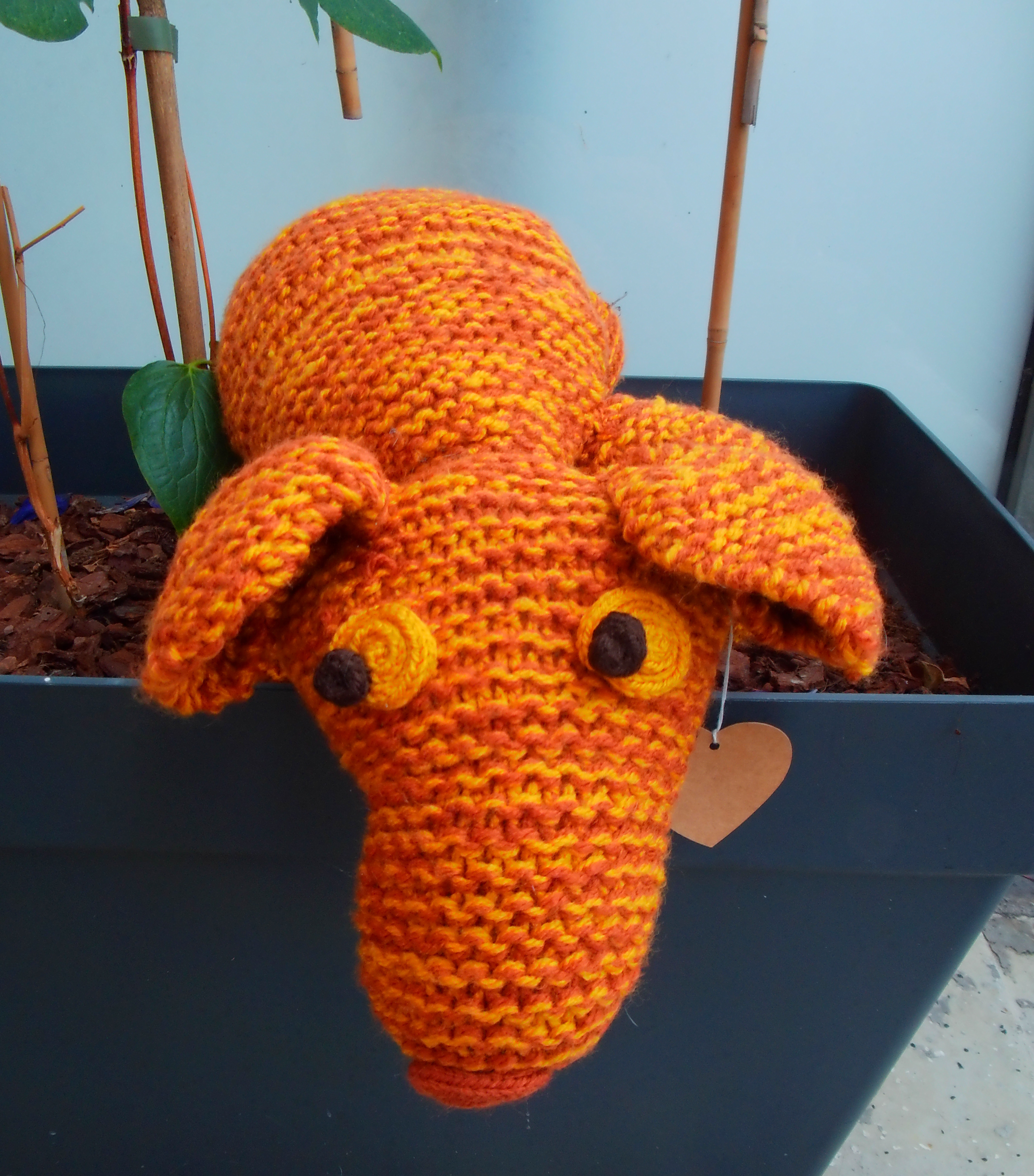 Large armadillo