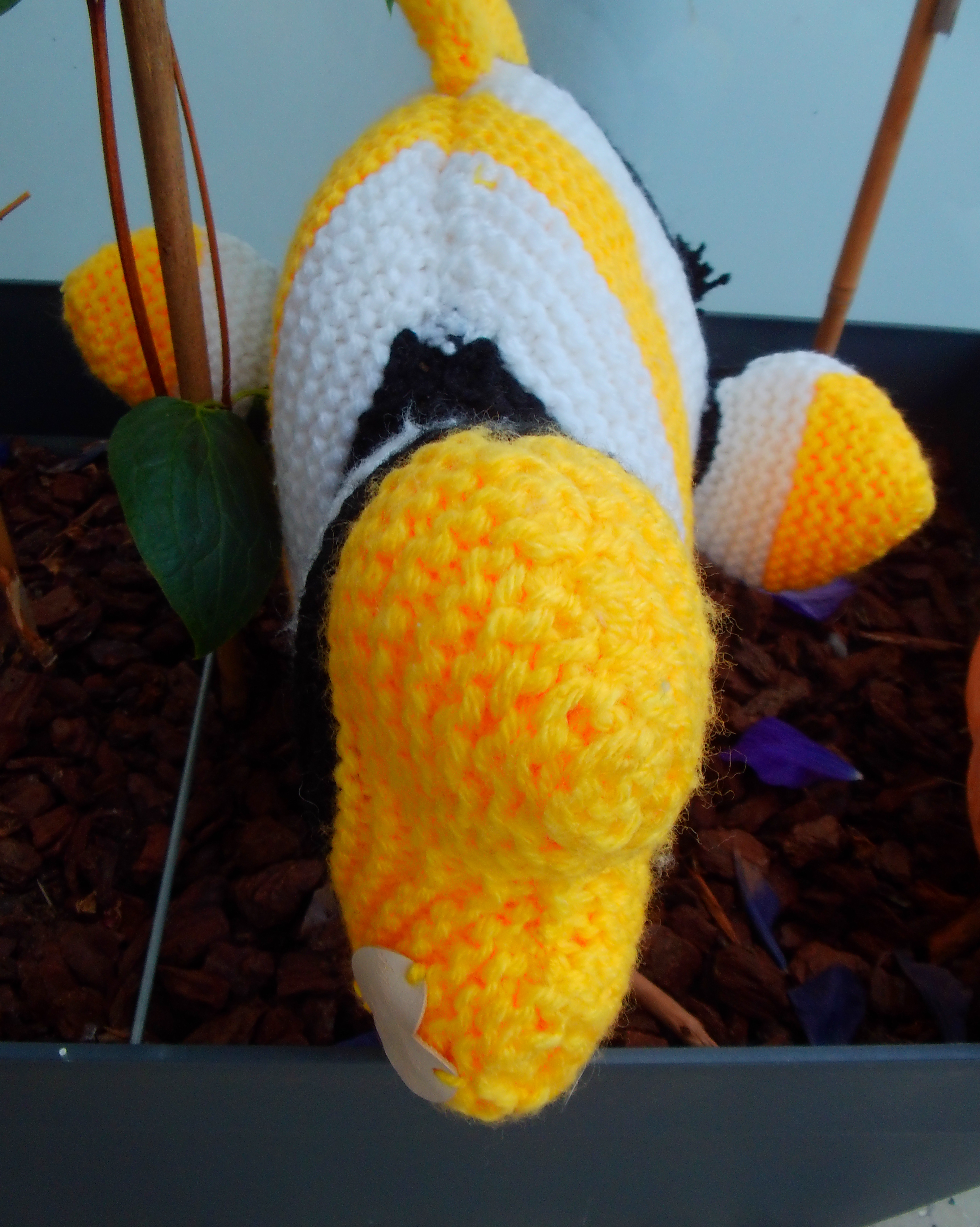 Large fish