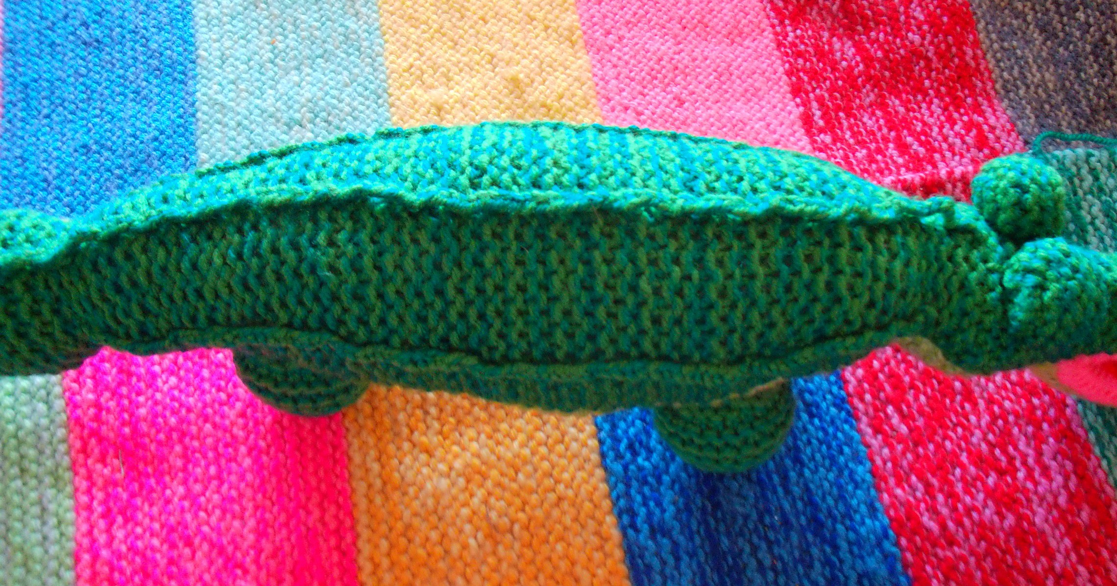 Middel grote groene krokodil