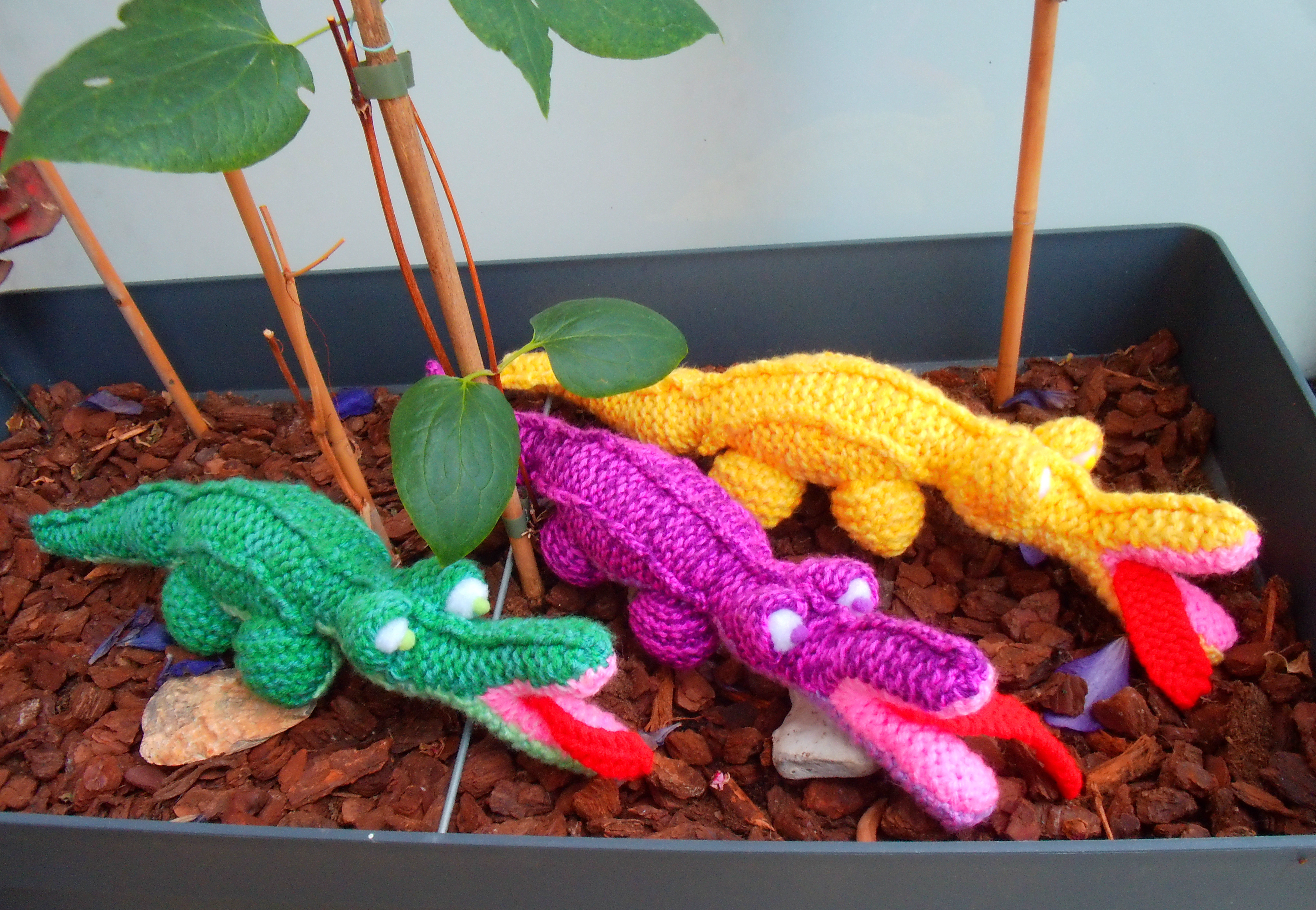 Unique little crocodiles