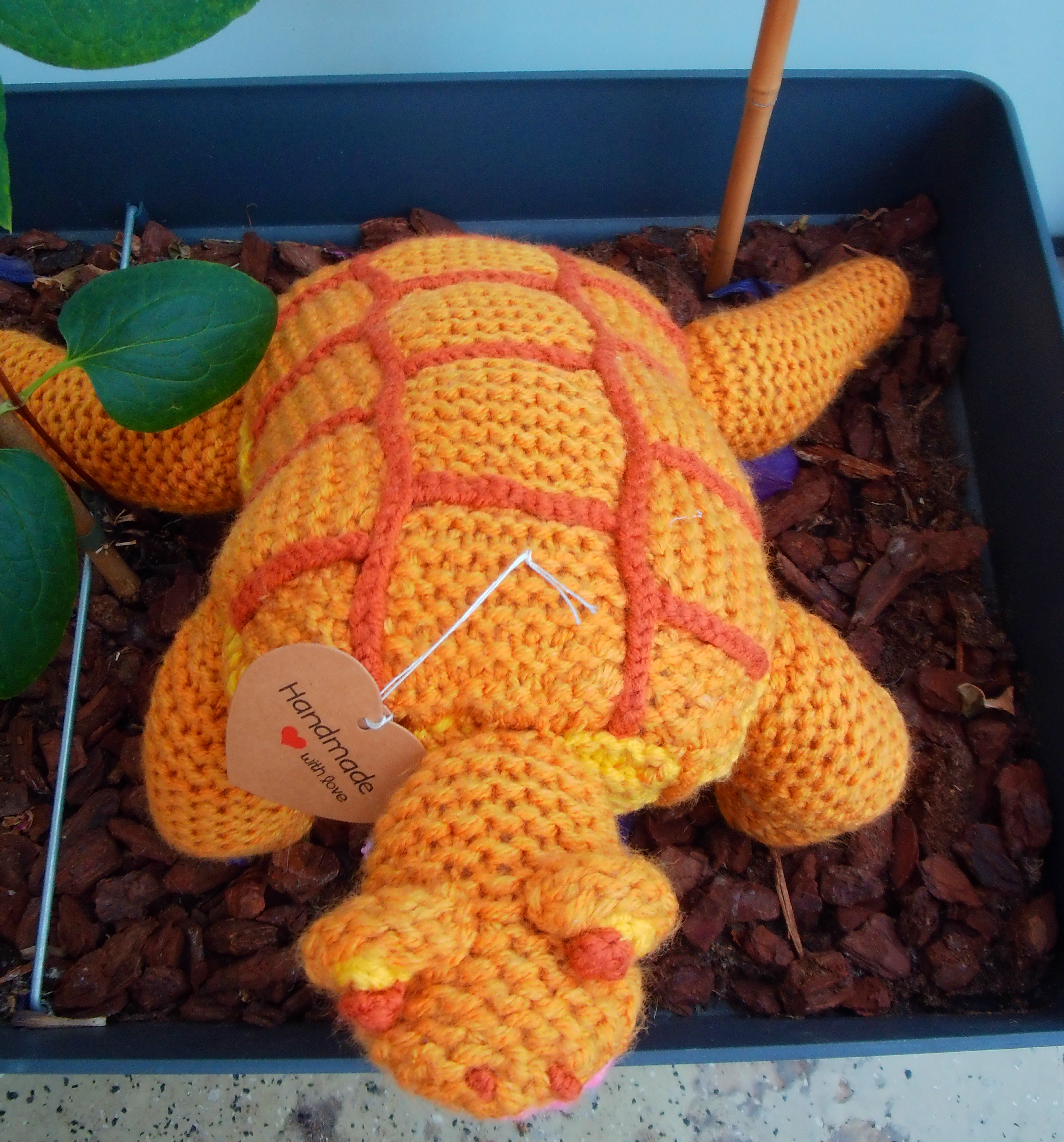 Enchanting turtle toy!