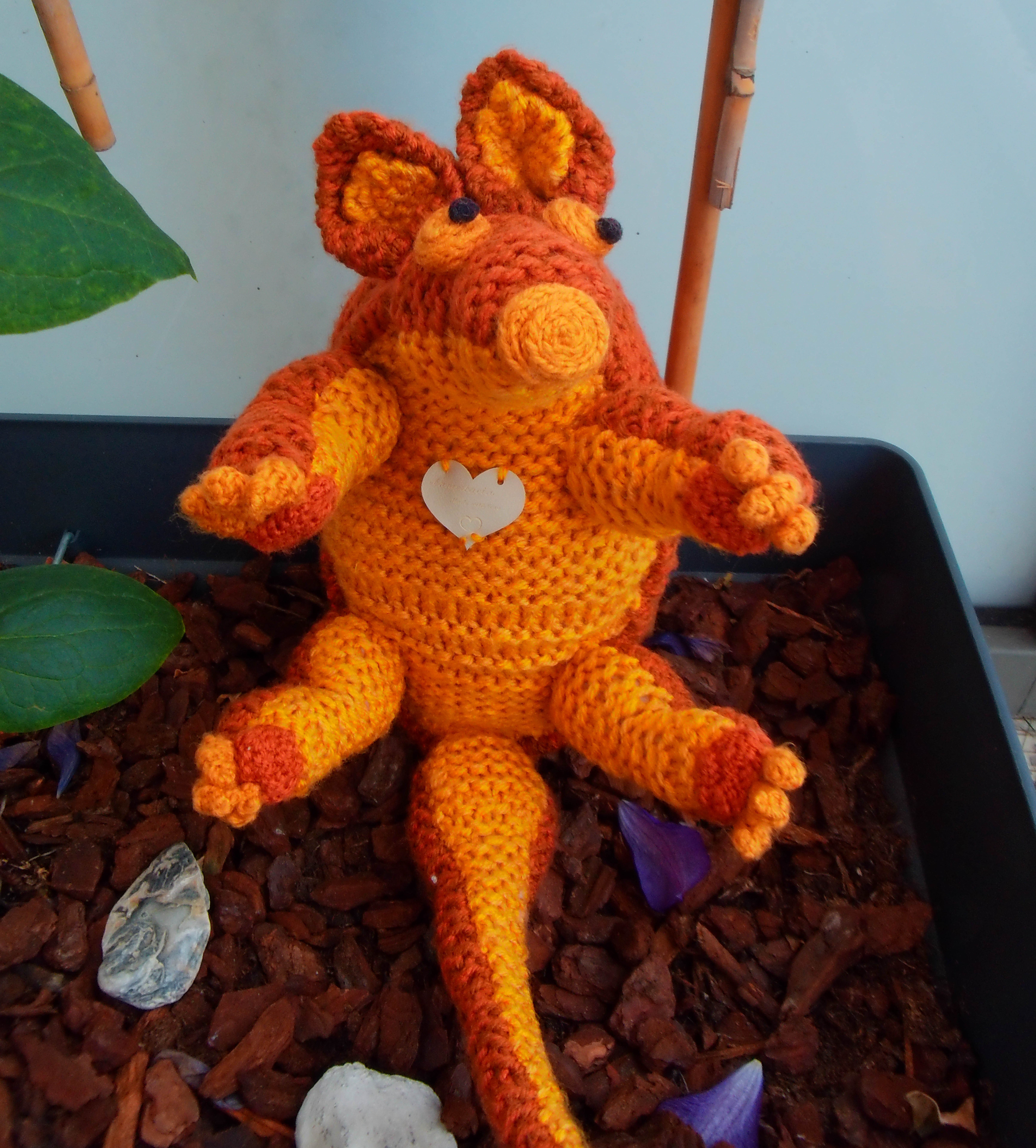 Small armadillo