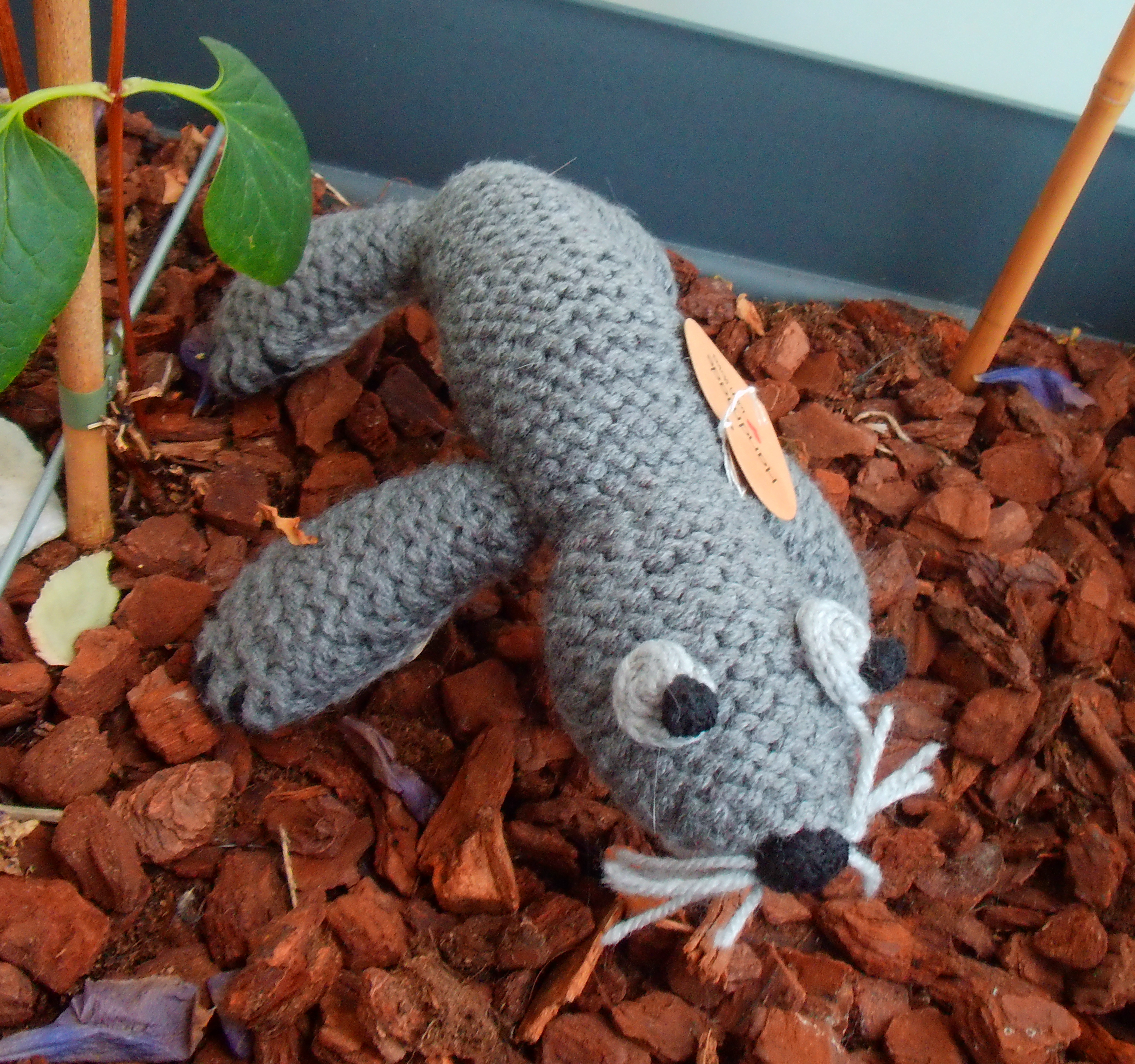 Seal small