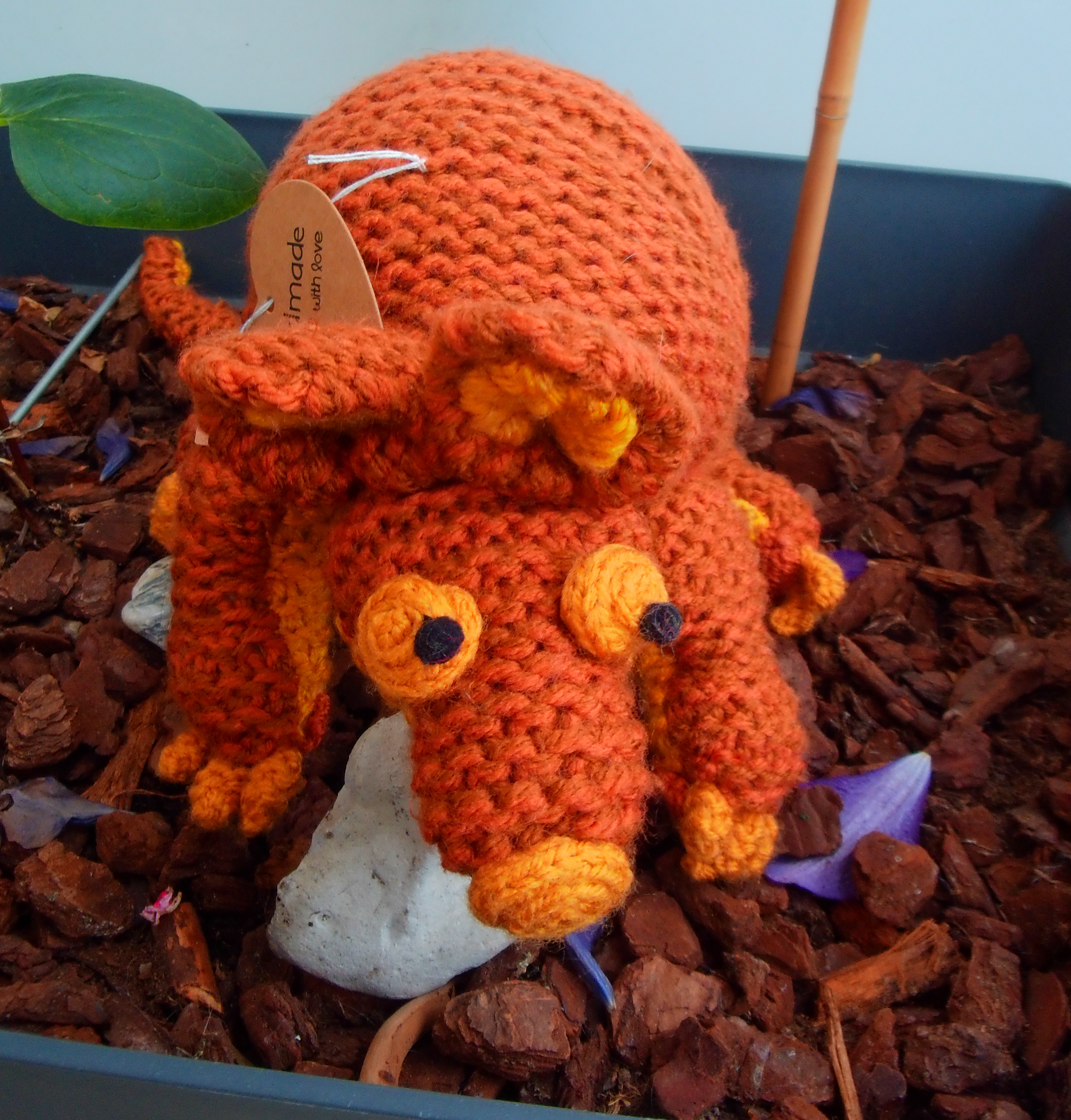 Small armadillo