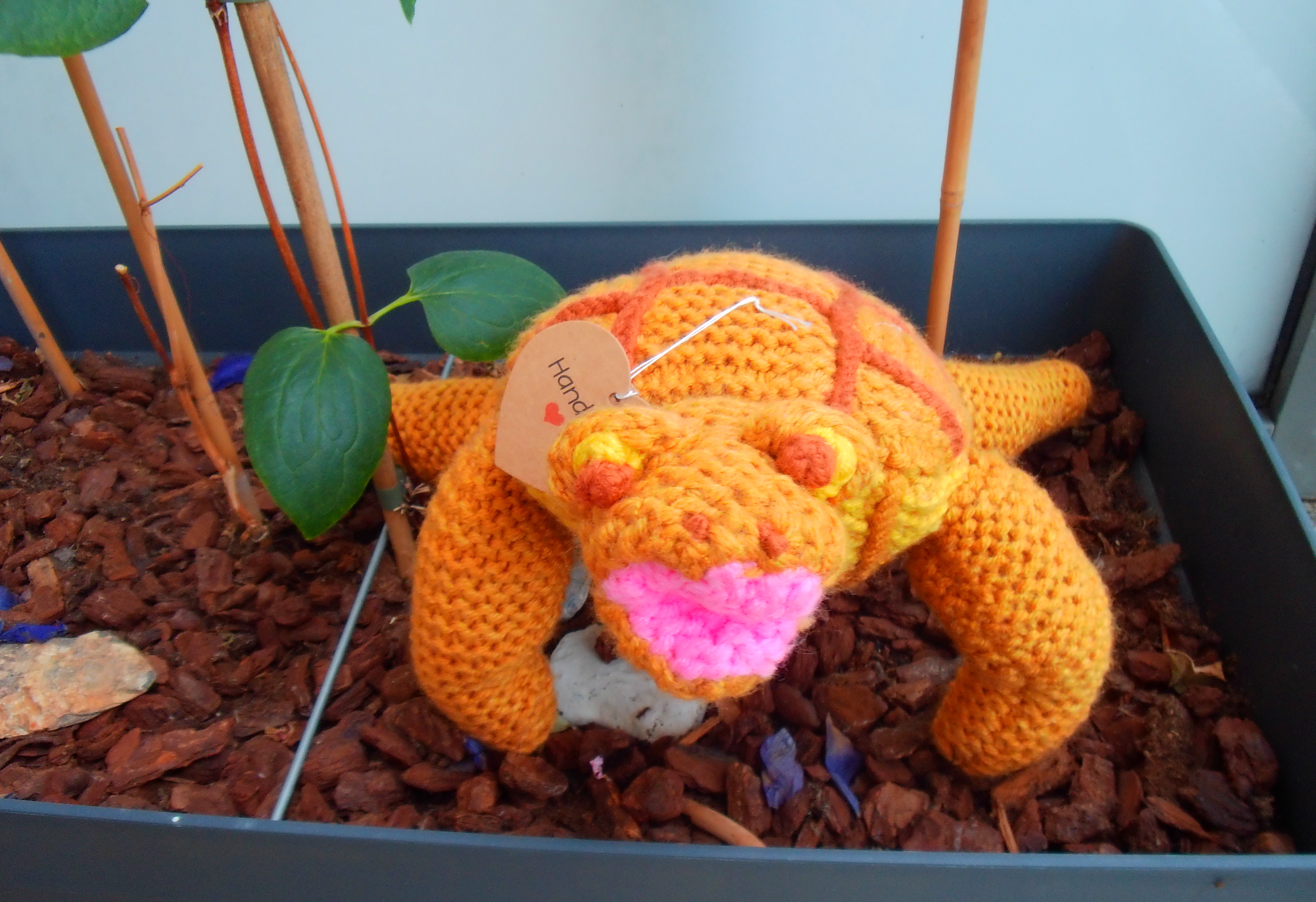 Betoverende schildpadknuffel!