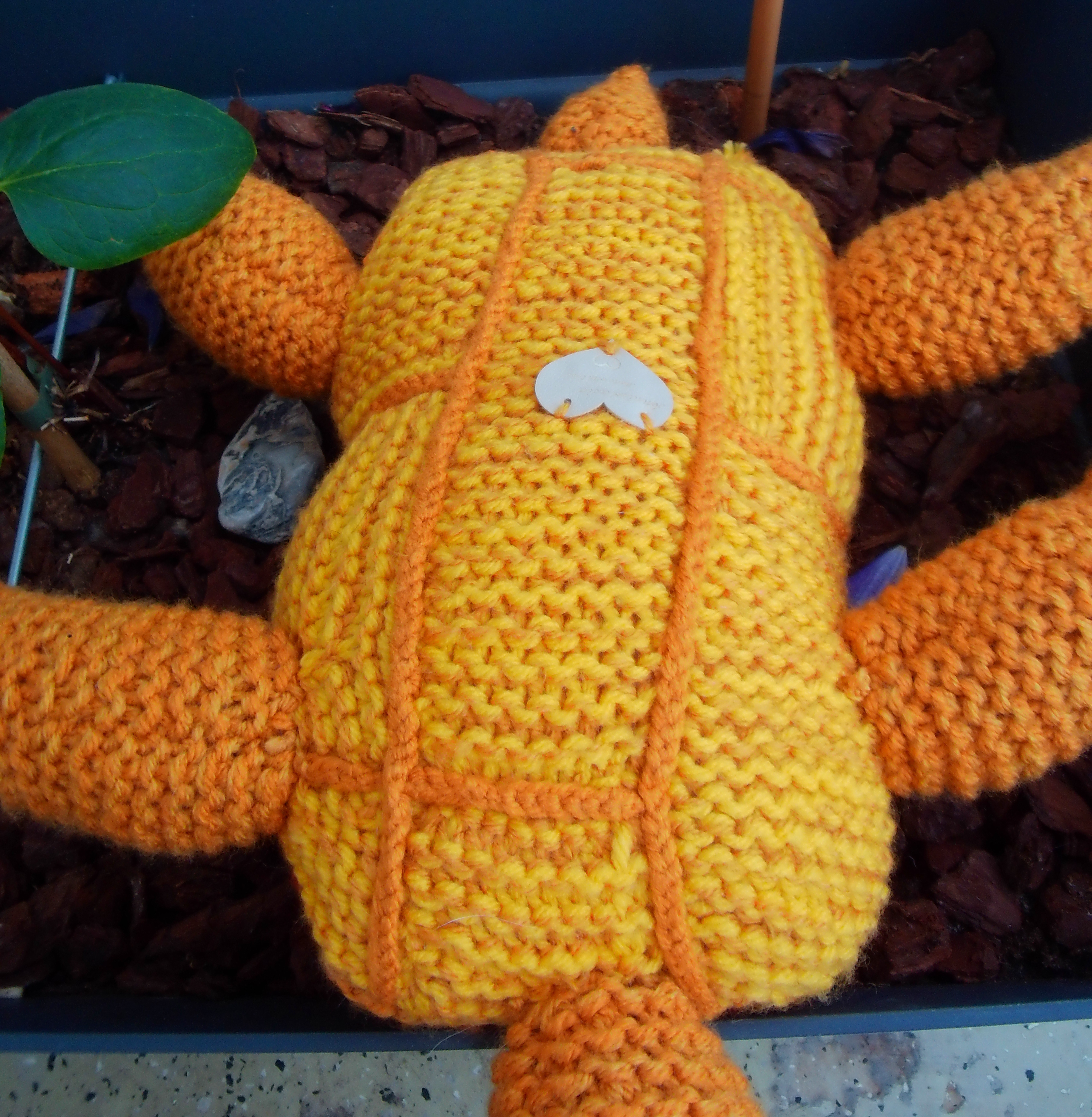 Betoverende schildpadknuffel!