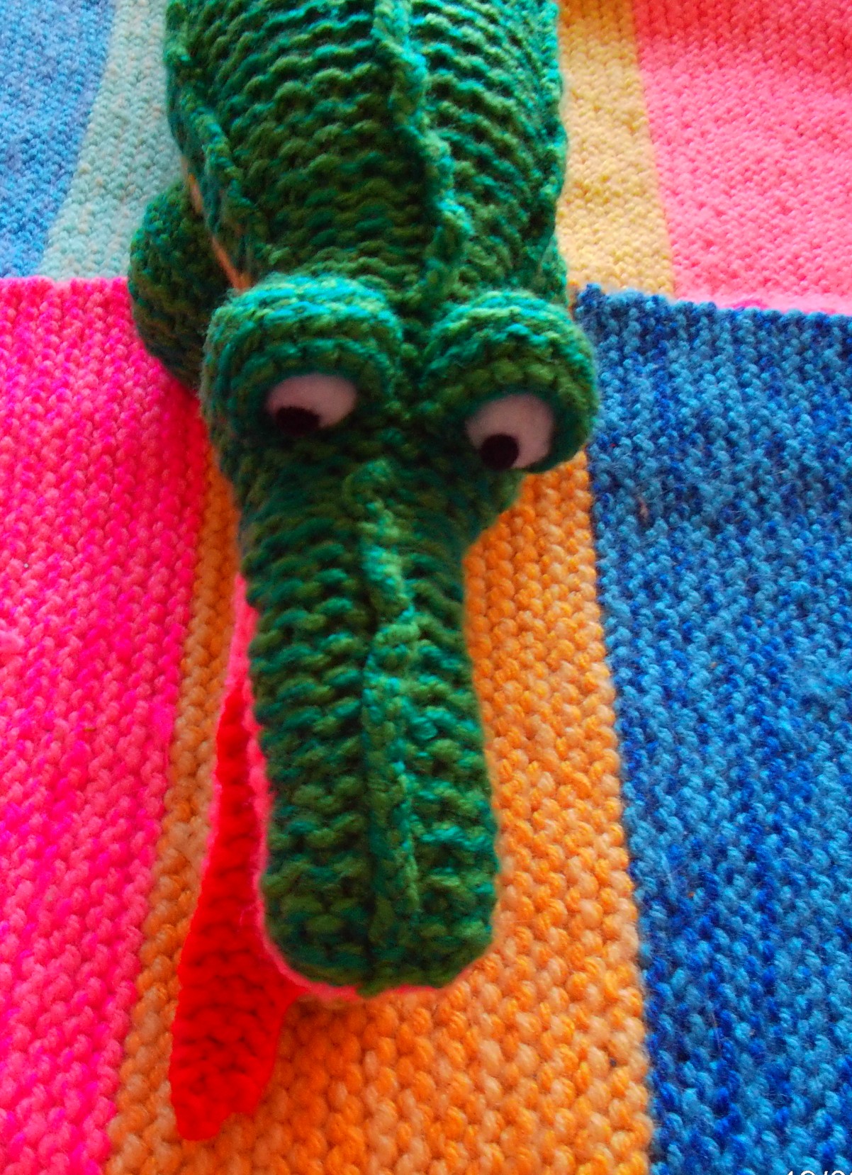 Middel grote groene krokodil