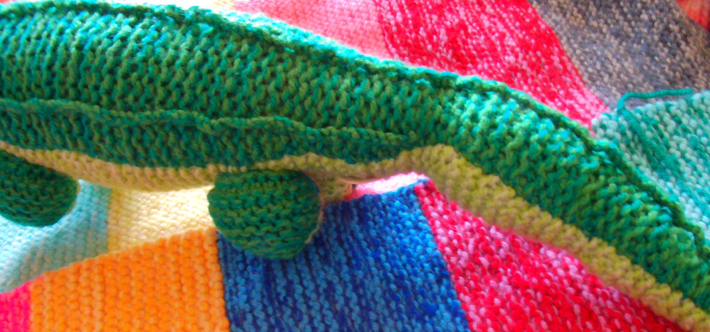 Middel grote groene krokodil