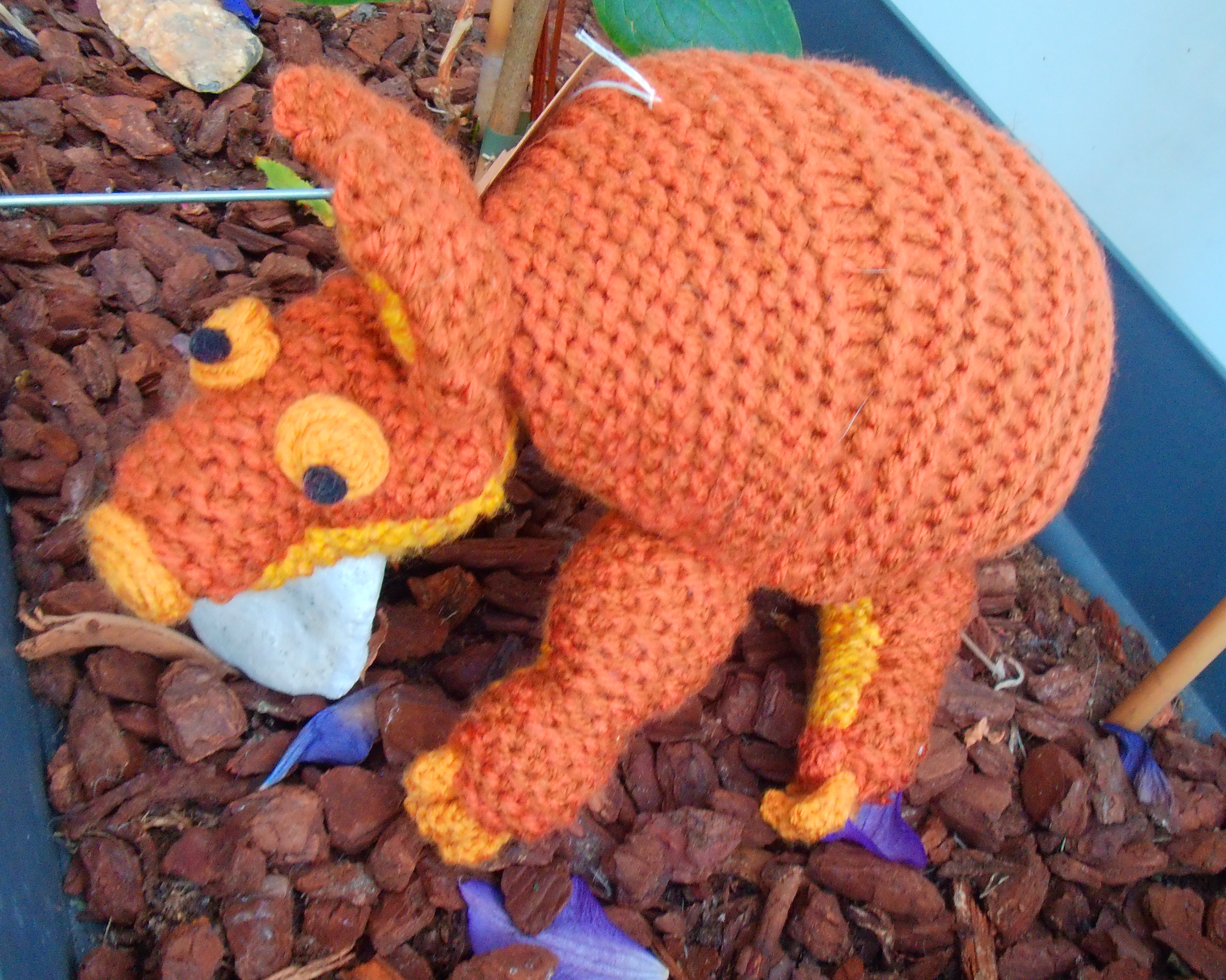 Small armadillo