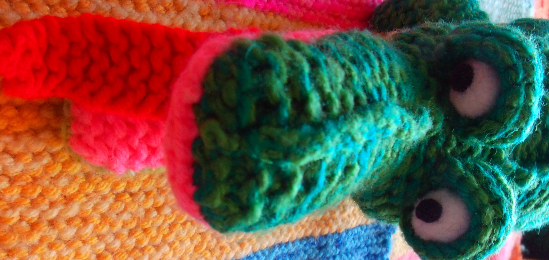 Medium-sized green crocodile