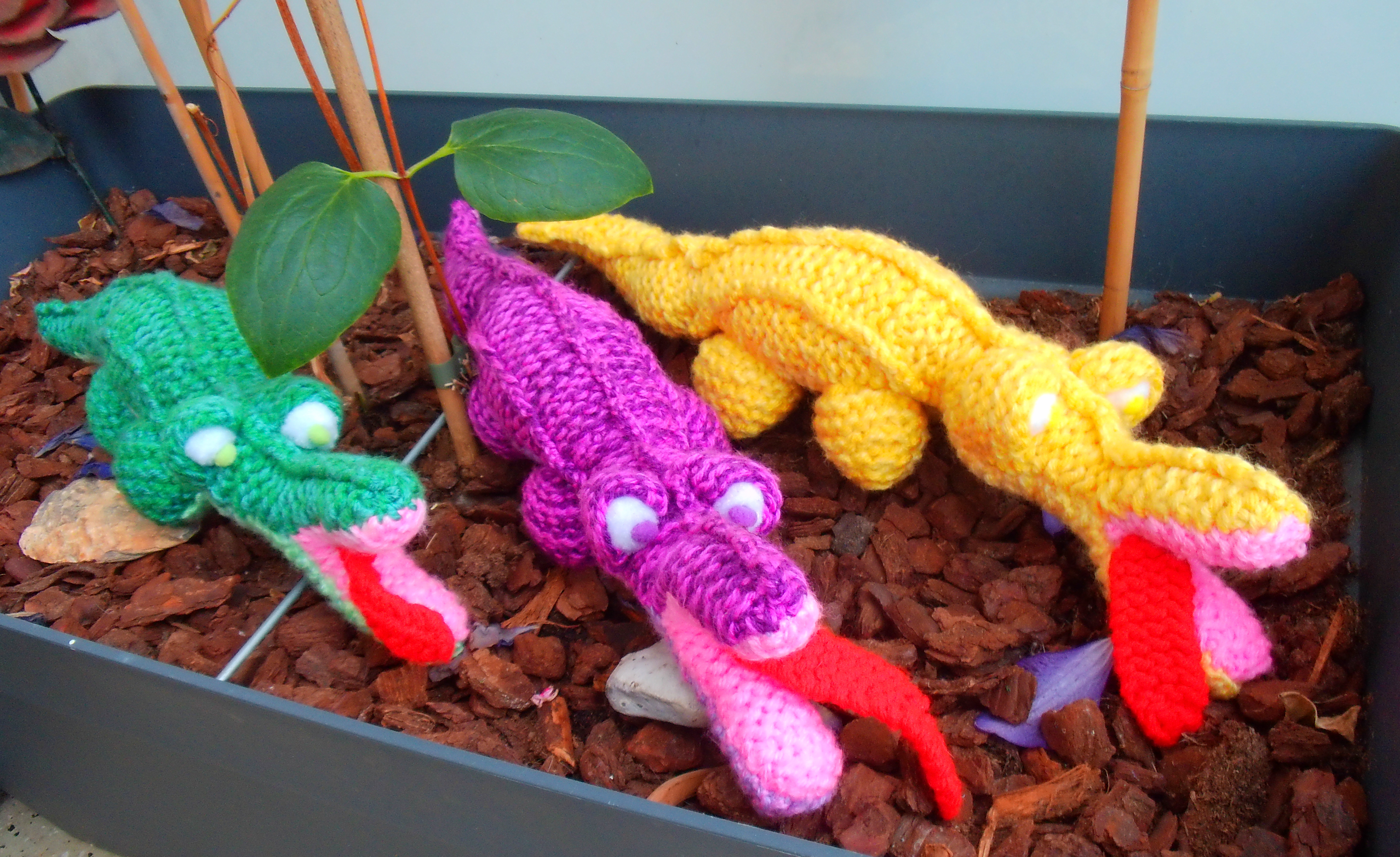 Unique little crocodiles