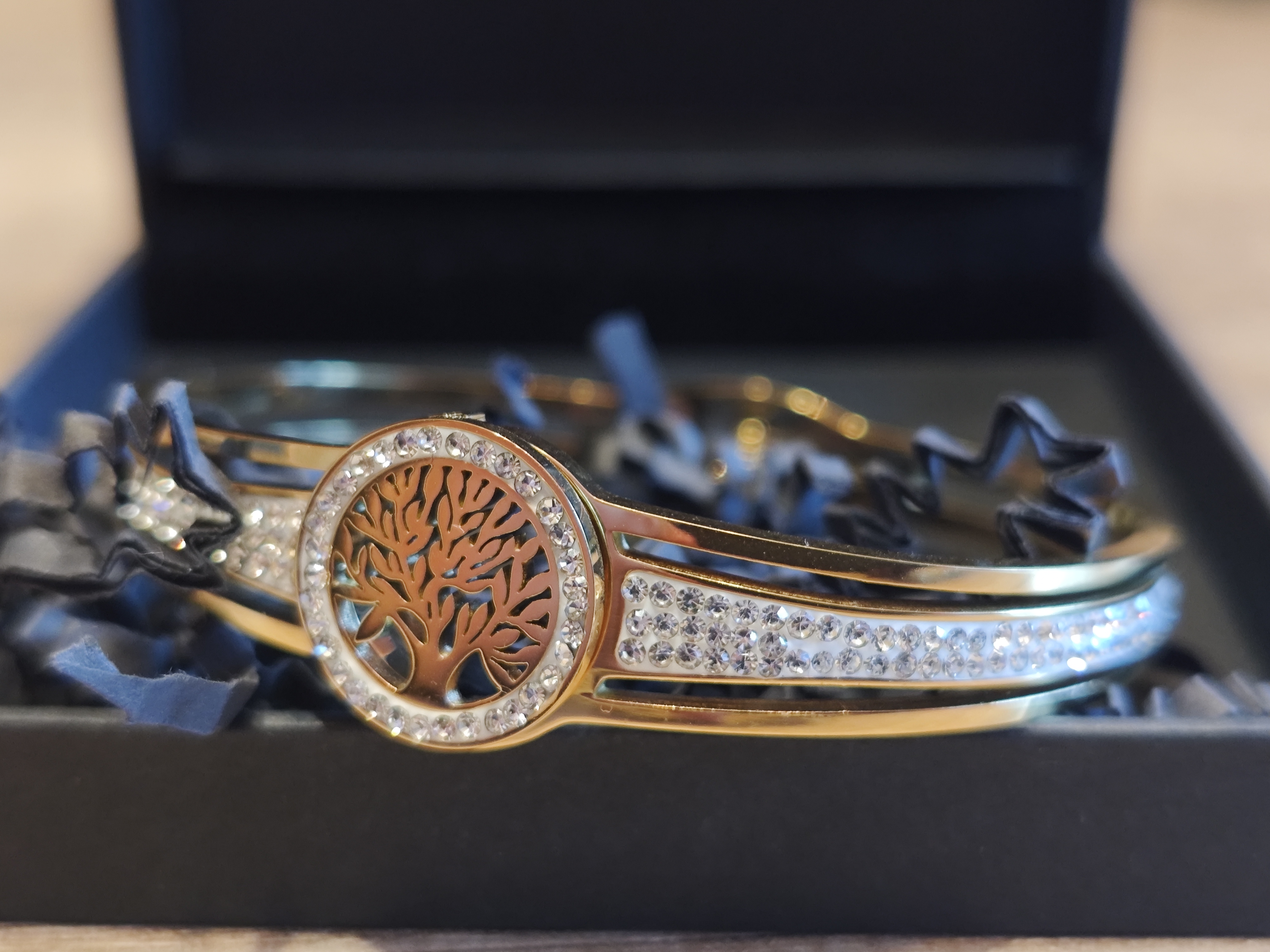 Apyrankė "Gyvybės medis"