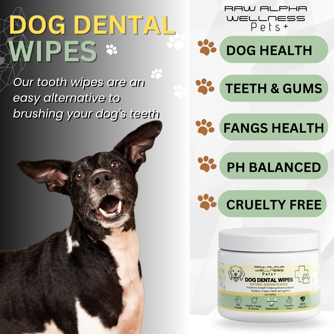 Dog Dental Wipes