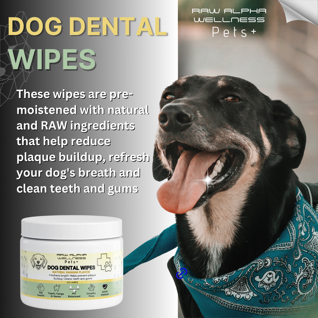 Dog Dental Wipes
