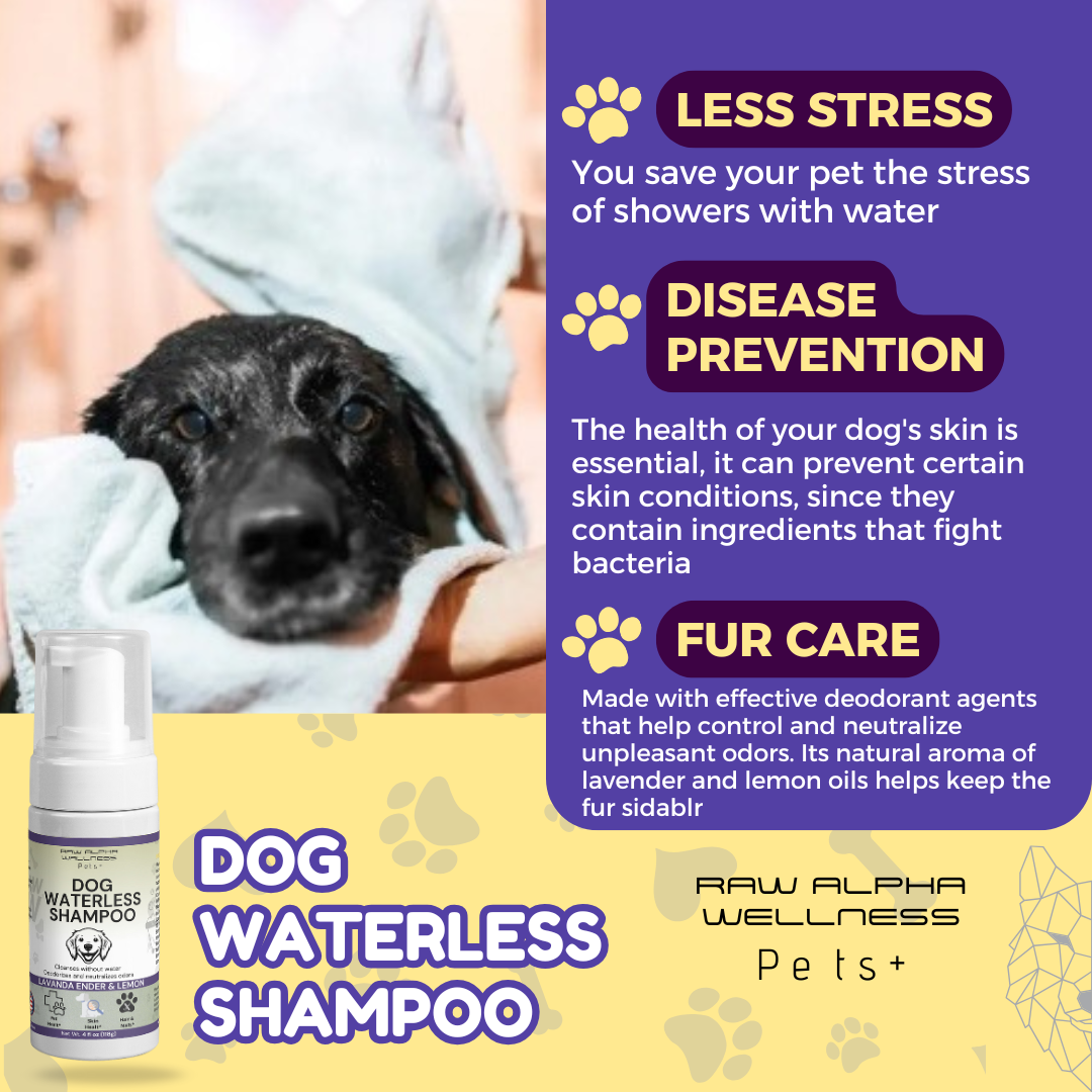 Dog Waterless Shampoo