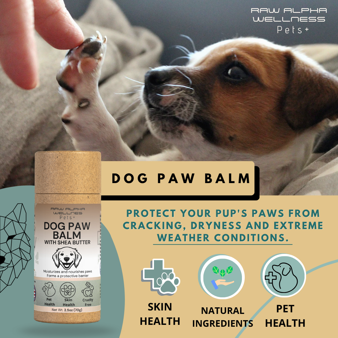 Dog Paw Balm