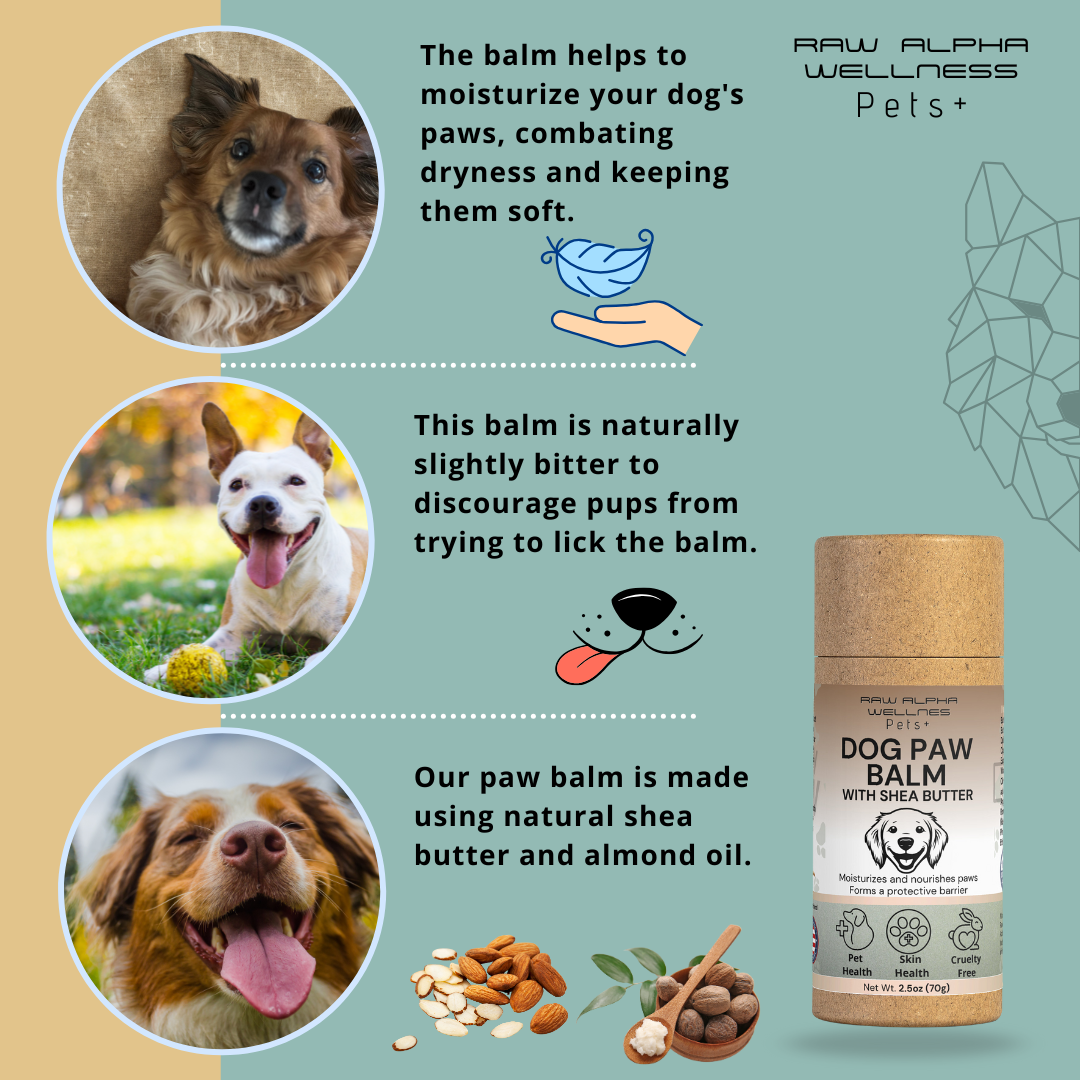 Dog Paw Balm