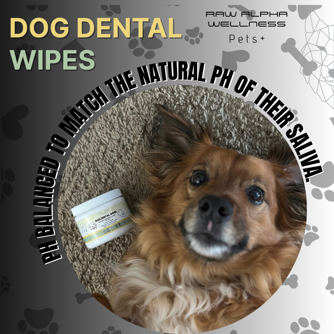 Dog Dental Wipes