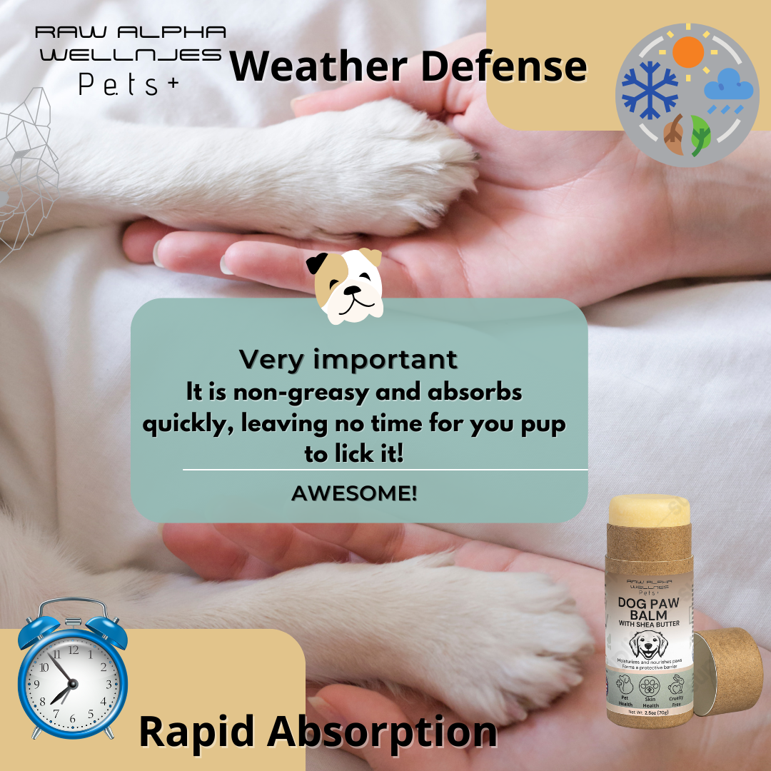 Dog Paw Balm