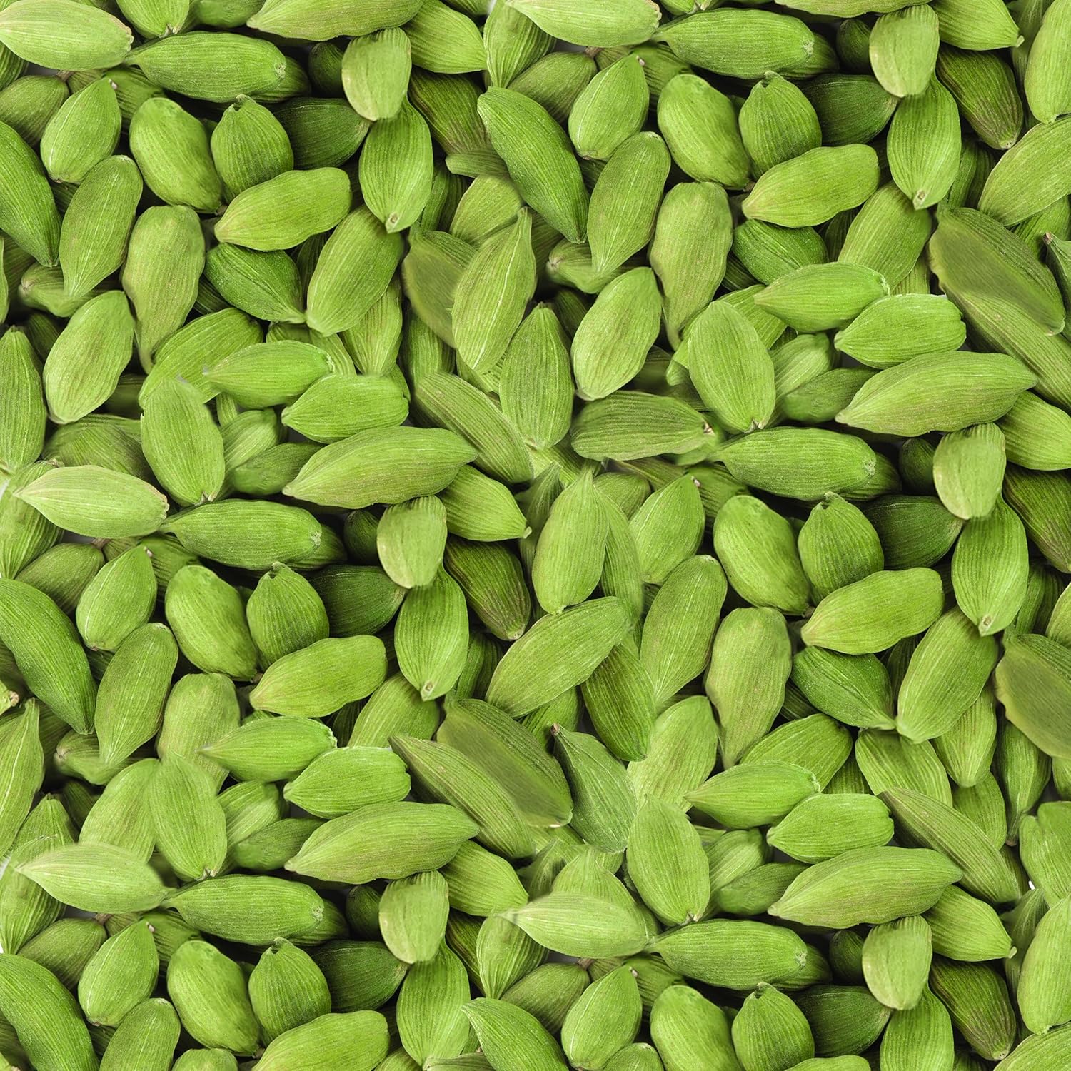 Aashirvaad Green Cardamom Whole (Paatla Elaichi) 