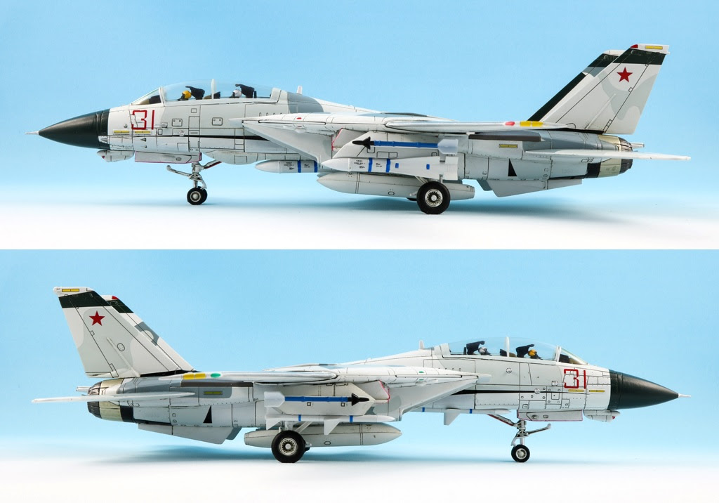 Calibre Wings CA72TP01-W Grumman F-14A Red 31 Tomcatsky (Panel washed version)