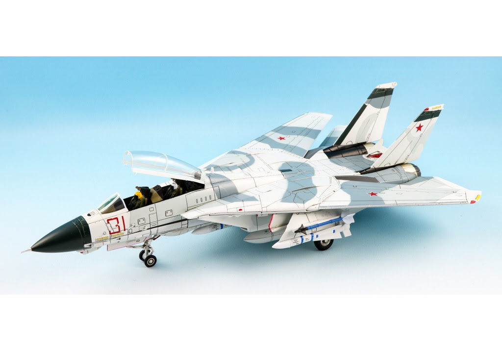 Calibre Wings CA72TP01-W Grumman F-14A Red 31 Tomcatsky (Panel washed version)