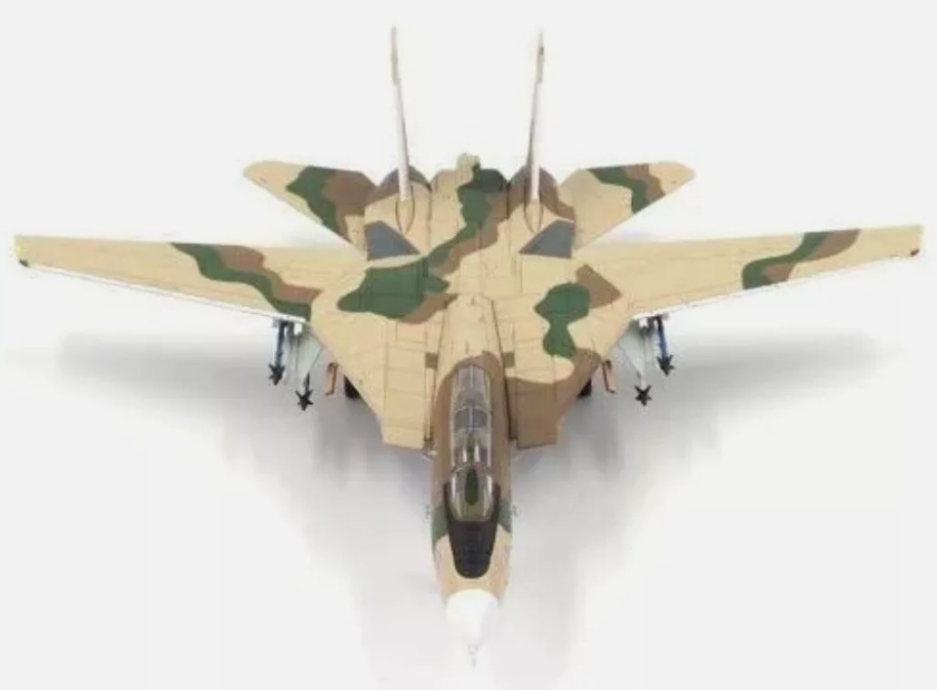 Calibre Wings CA72TP05 Grumman F-14A Tomcat NFWS/NSAWC TopGun Desert Buno 160913