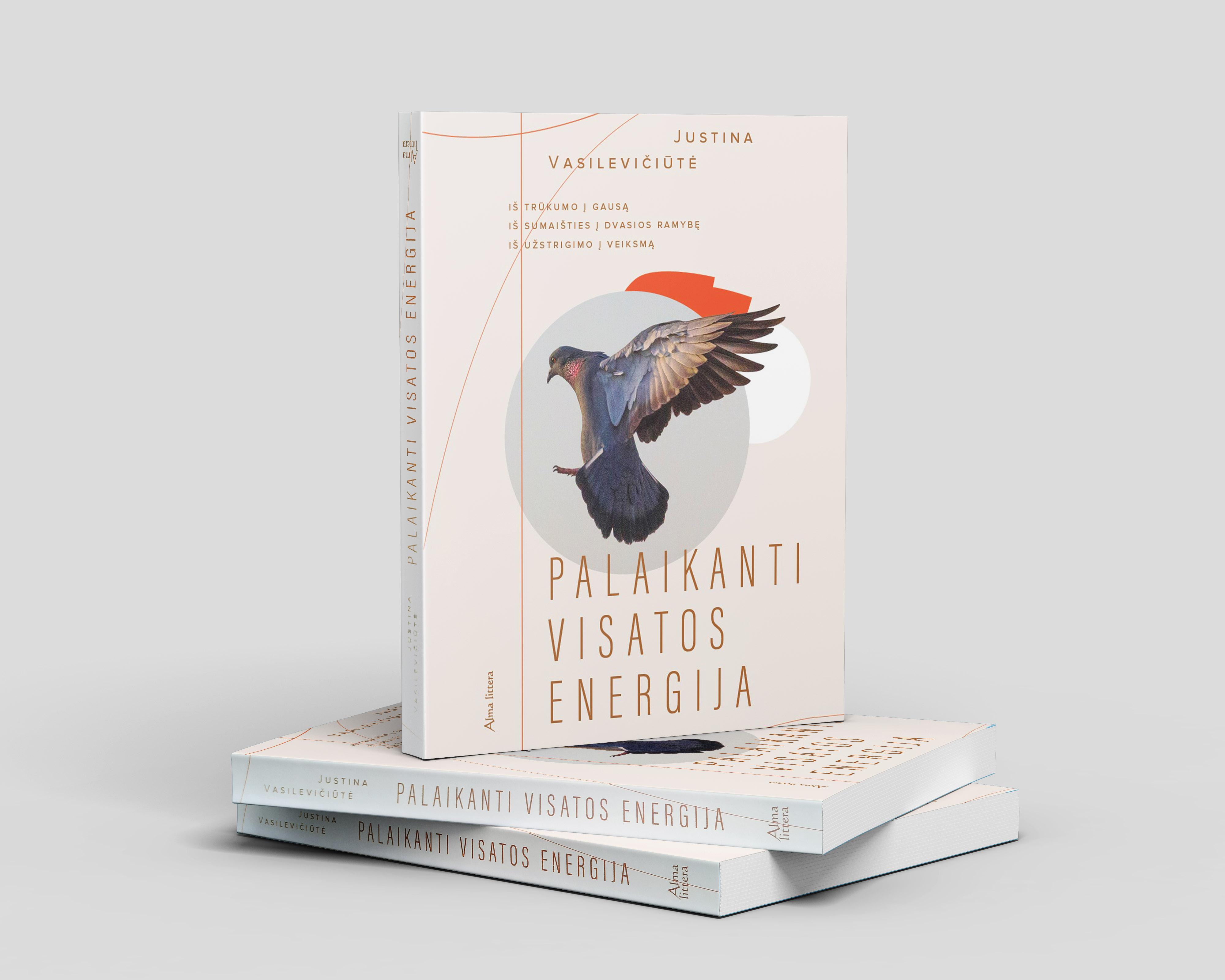 Palaikanti visatos energija