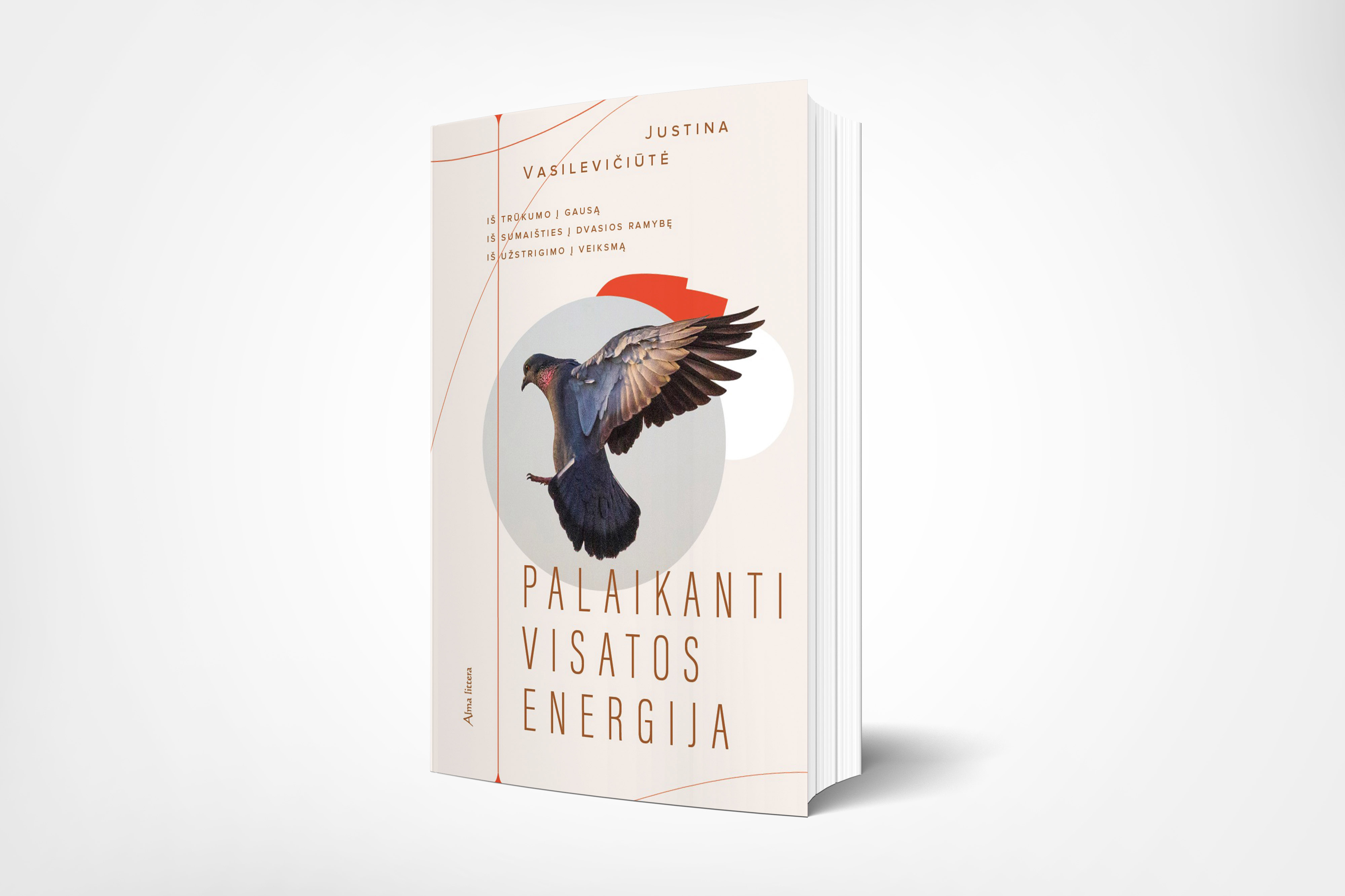 Palaikanti visatos energija