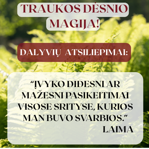 Traukos dėsnio mini kursas!