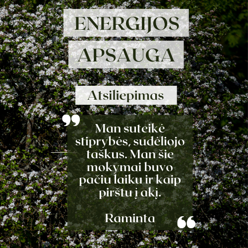 Energijos apsauga!