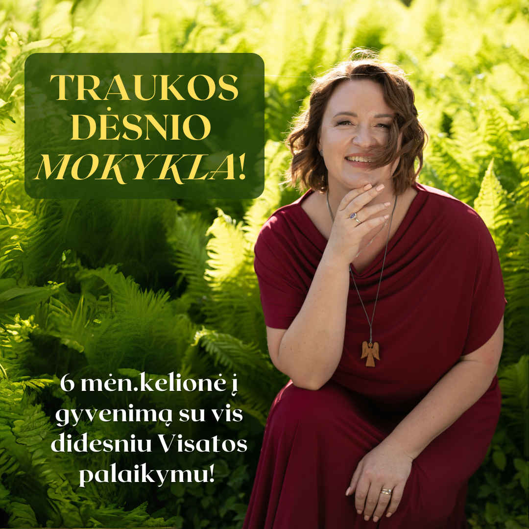 Traukos dėsnio mokykla! Mokėjimas per 5 mėn