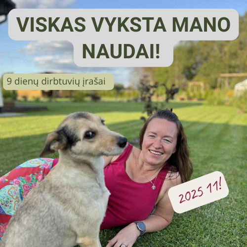 Viskas vyksta mano naudai 2025 11! 