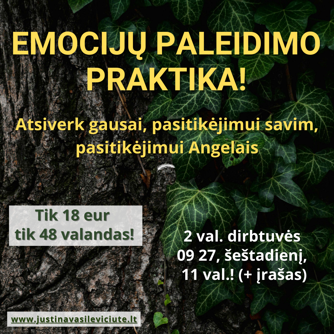 Emocijų paleidimo praktika - gyvai 09 27!!! + įrašas