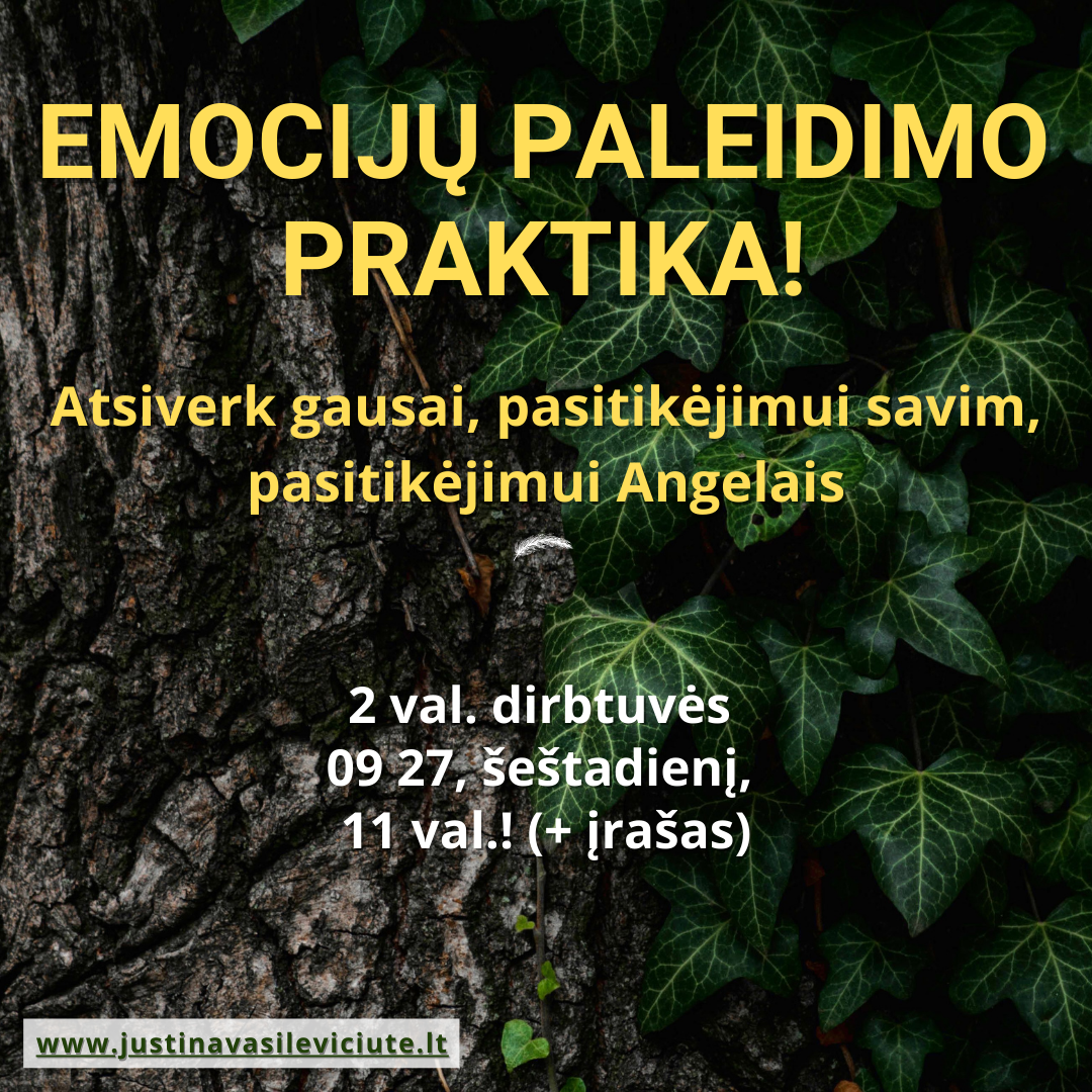 Emocijų paleidimo praktika - 2 val dirbtuvių įrašas!