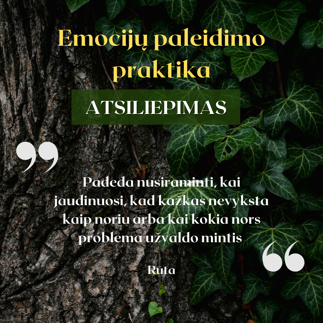 Emocijų paleidimo praktika - gyvai 09 27!!! + įrašas