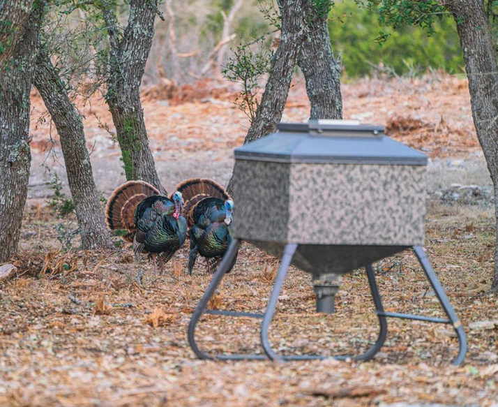 Ranch King Mighty Buck Corn and Protein Feeders
